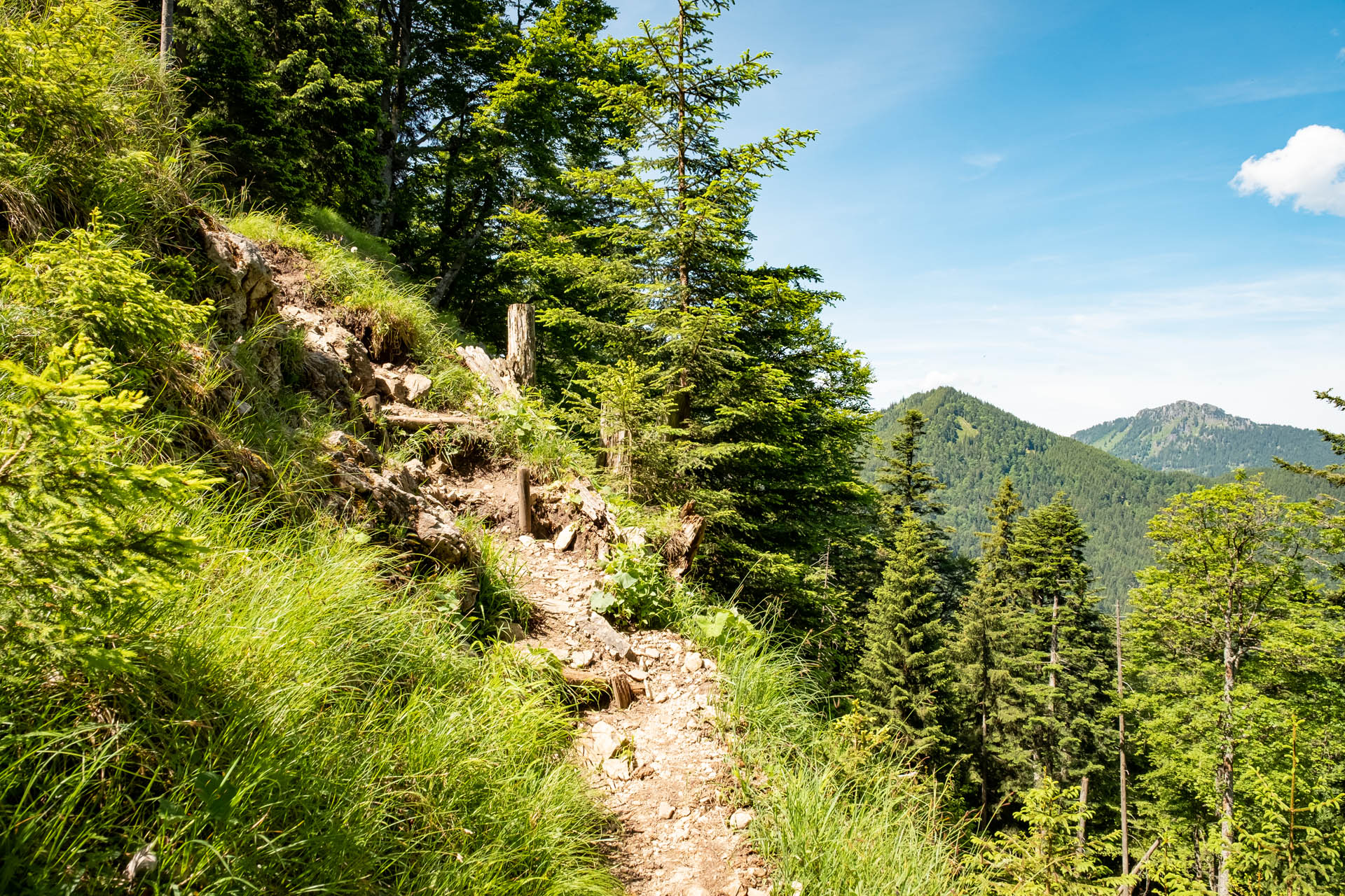 Wanderung von der Fallmühle auf den Breitenberg bei Pfronten im Ostallgäu