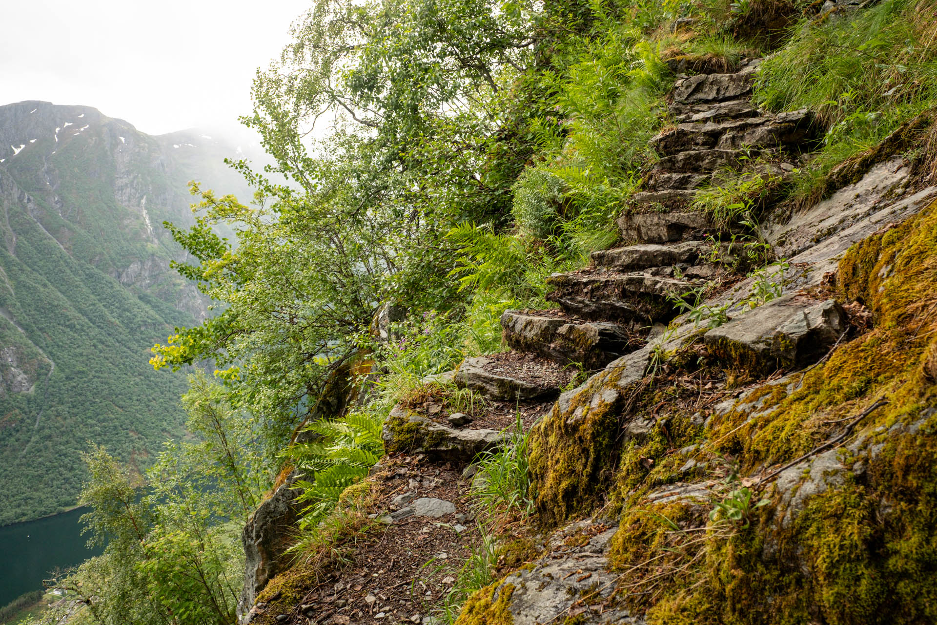 Wanderung zum Aussichtspunkt Ringstigen im Nærøyfjord