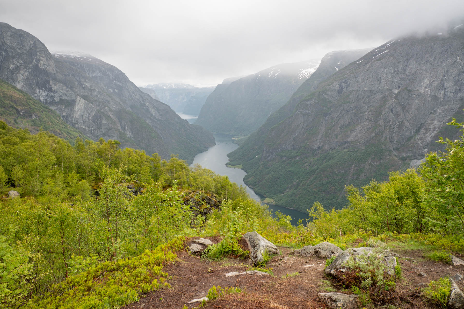 Wanderung zum Aussichtspunkt Ringstigen im Nærøyfjord