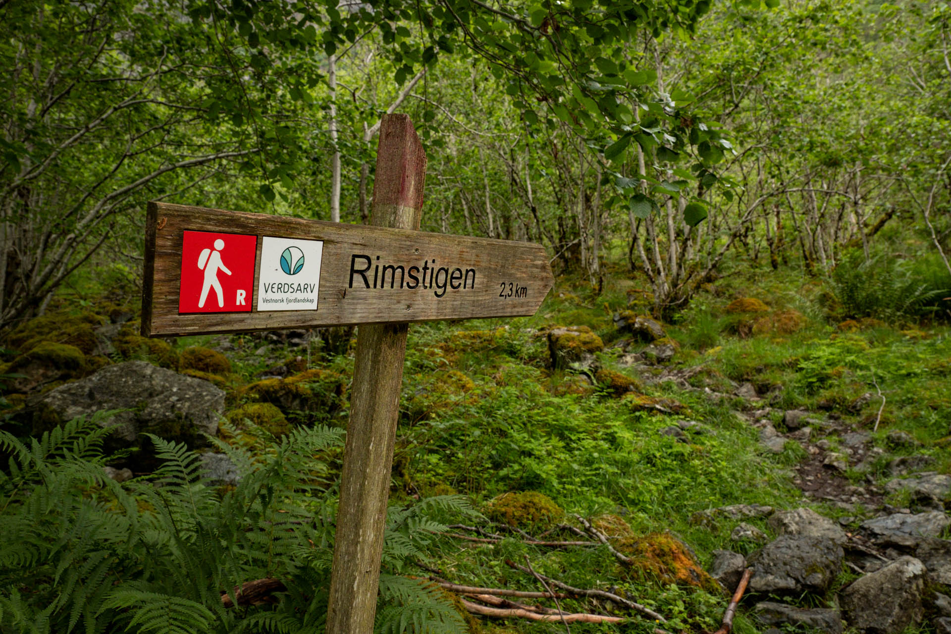 Wanderung zum Aussichtspunkt Ringstigen im Nærøyfjord