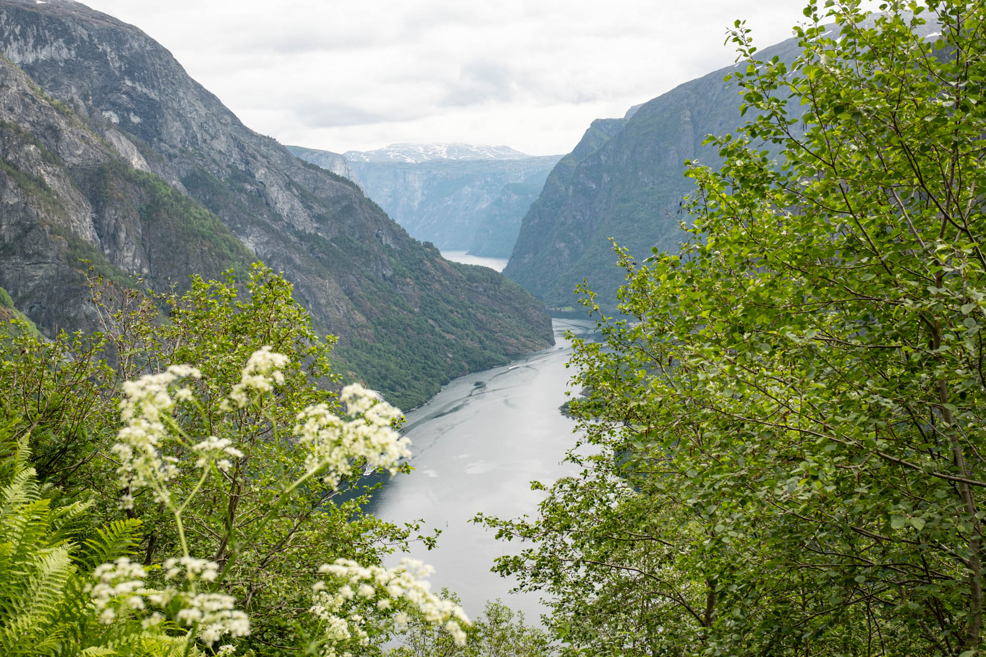 Wanderung zum Aussichtspunkt Ringstigen im Nærøyfjord