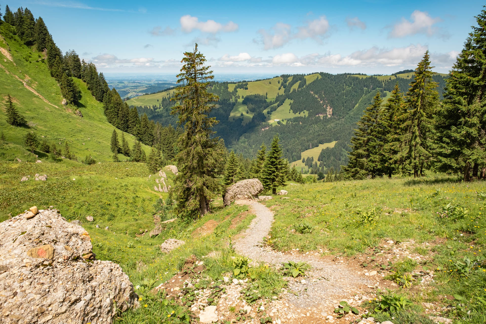 Wanderung auf den Hochgrat bei Oberstaufen