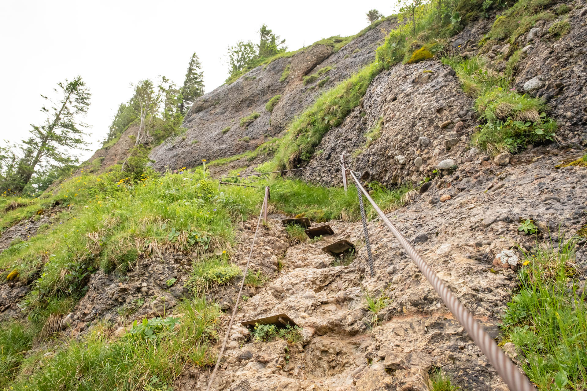 Wanderung auf den Hochgrat bei Oberstaufen