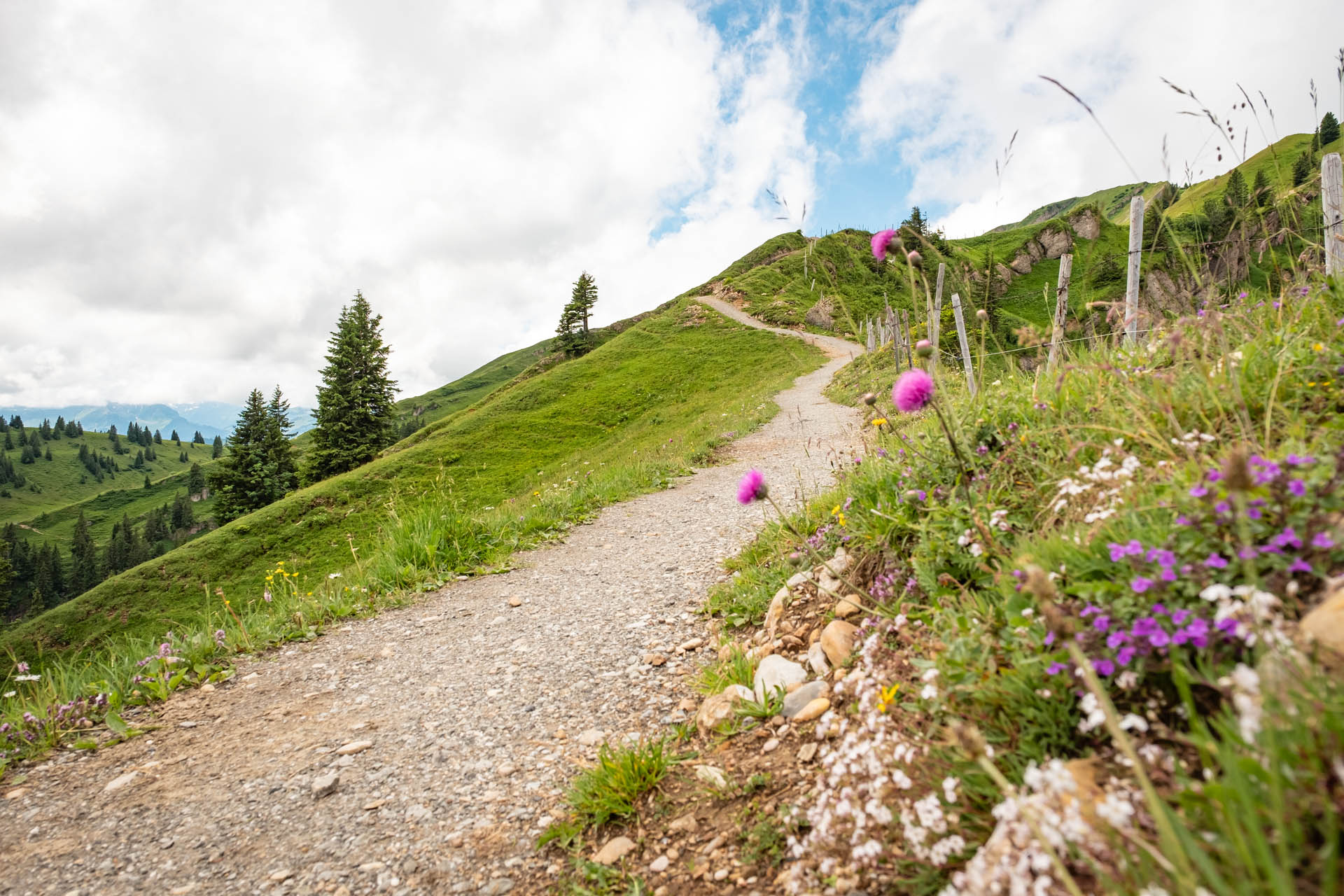 Wanderung auf den Hochgrat bei Oberstaufen