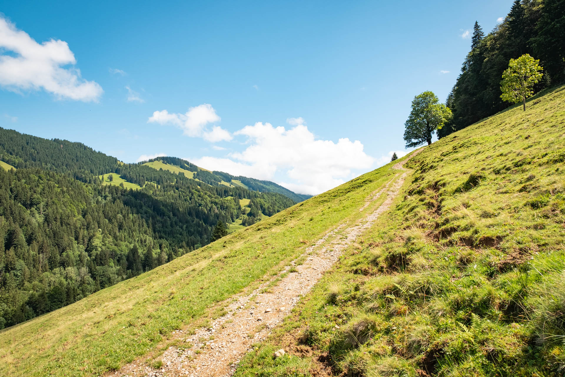 Wanderung auf den Hochgrat bei Oberstaufen