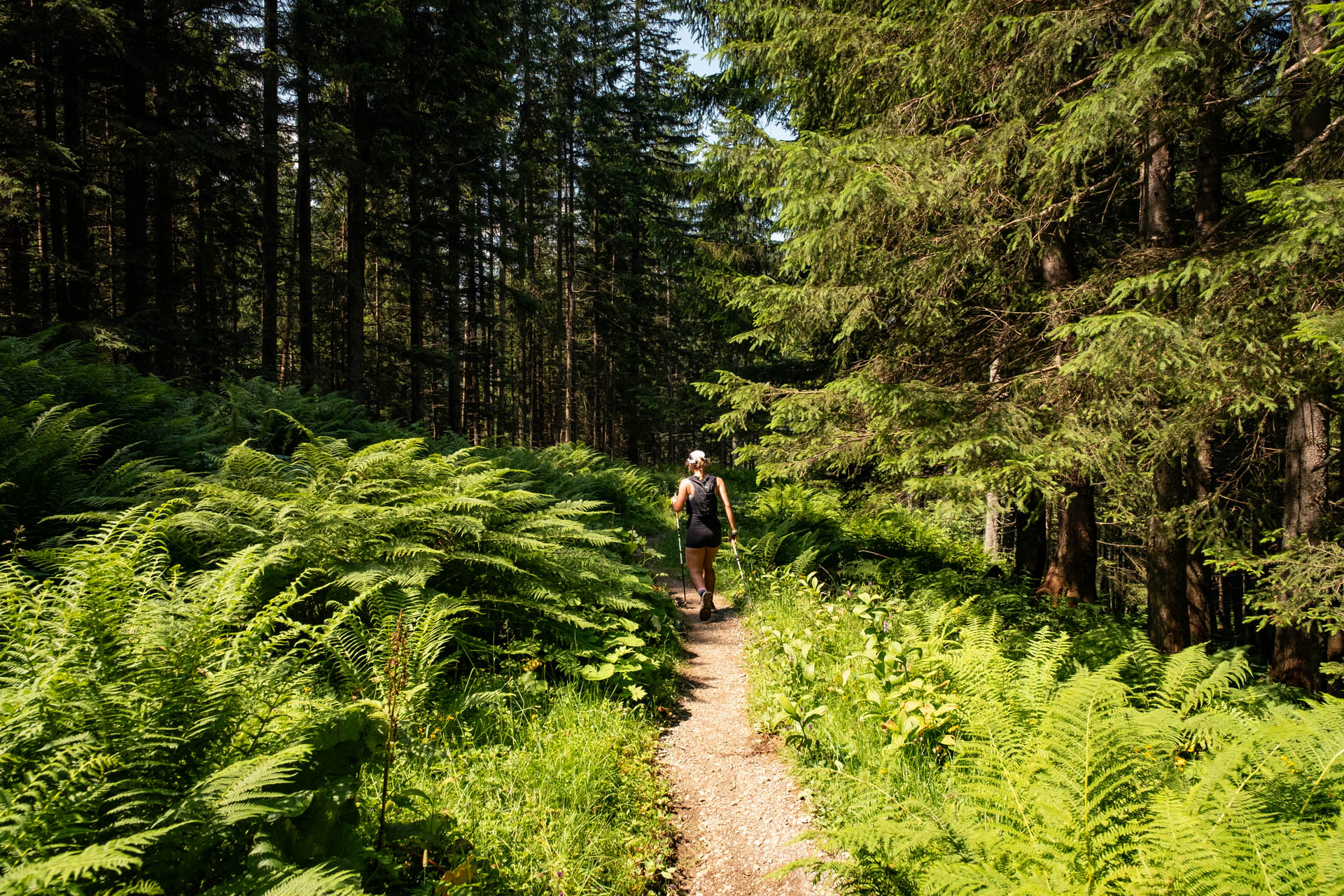 Wanderung auf den Rappenseekopf und den Hochrappenkopf bei Oberstdorf im Allgäu