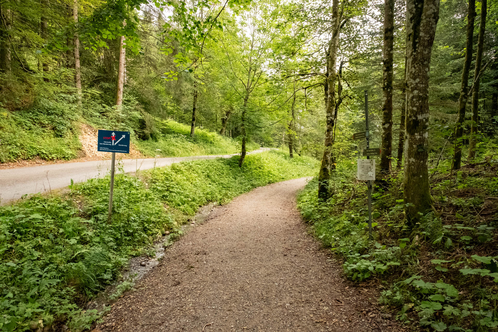 Wanderung von Immenstadt aufs Immenstädter Horn als Rundtour im Allgäu