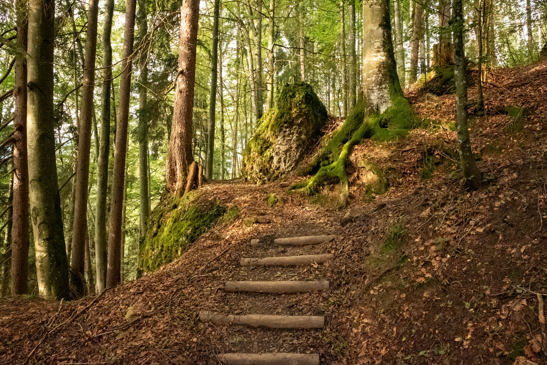 Wanderung von Immenstadt aufs Immenstädter Horn als Rundtour im Allgäu