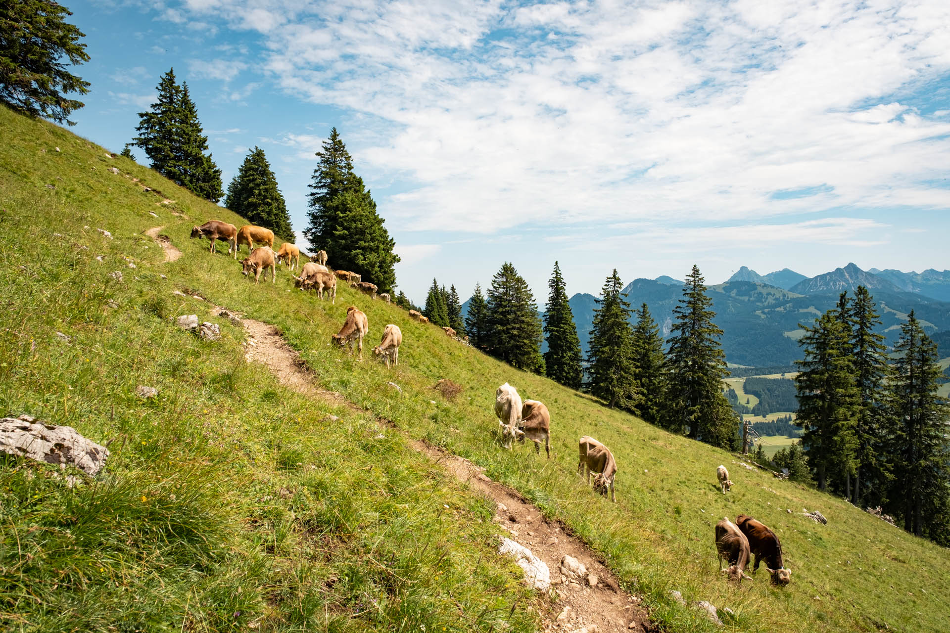 Wanderung von Oberjoch zum Ornach