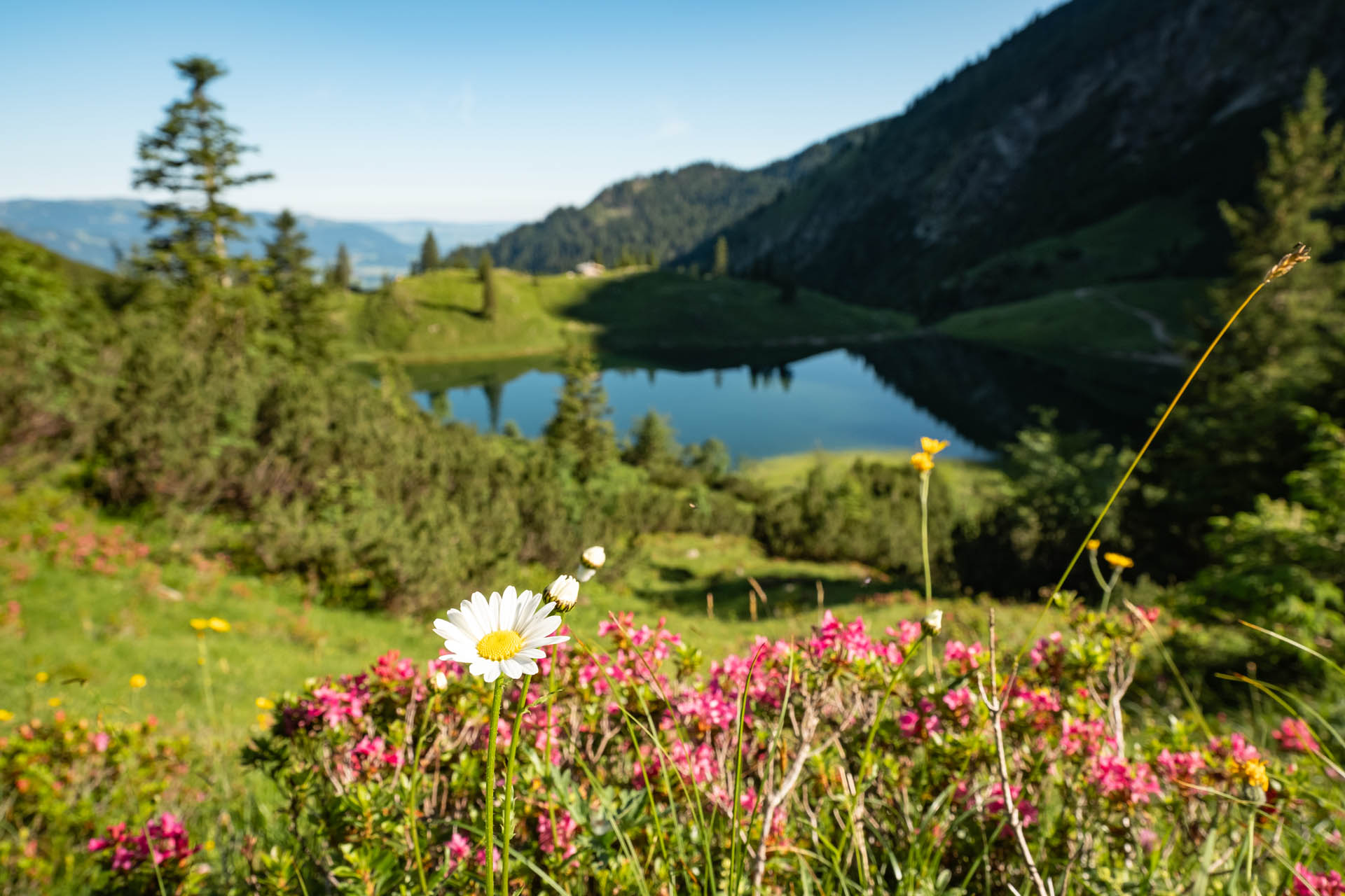 Wanderung von Reichenbach über den Unteren Gaisalpsee aufs Rubihorn