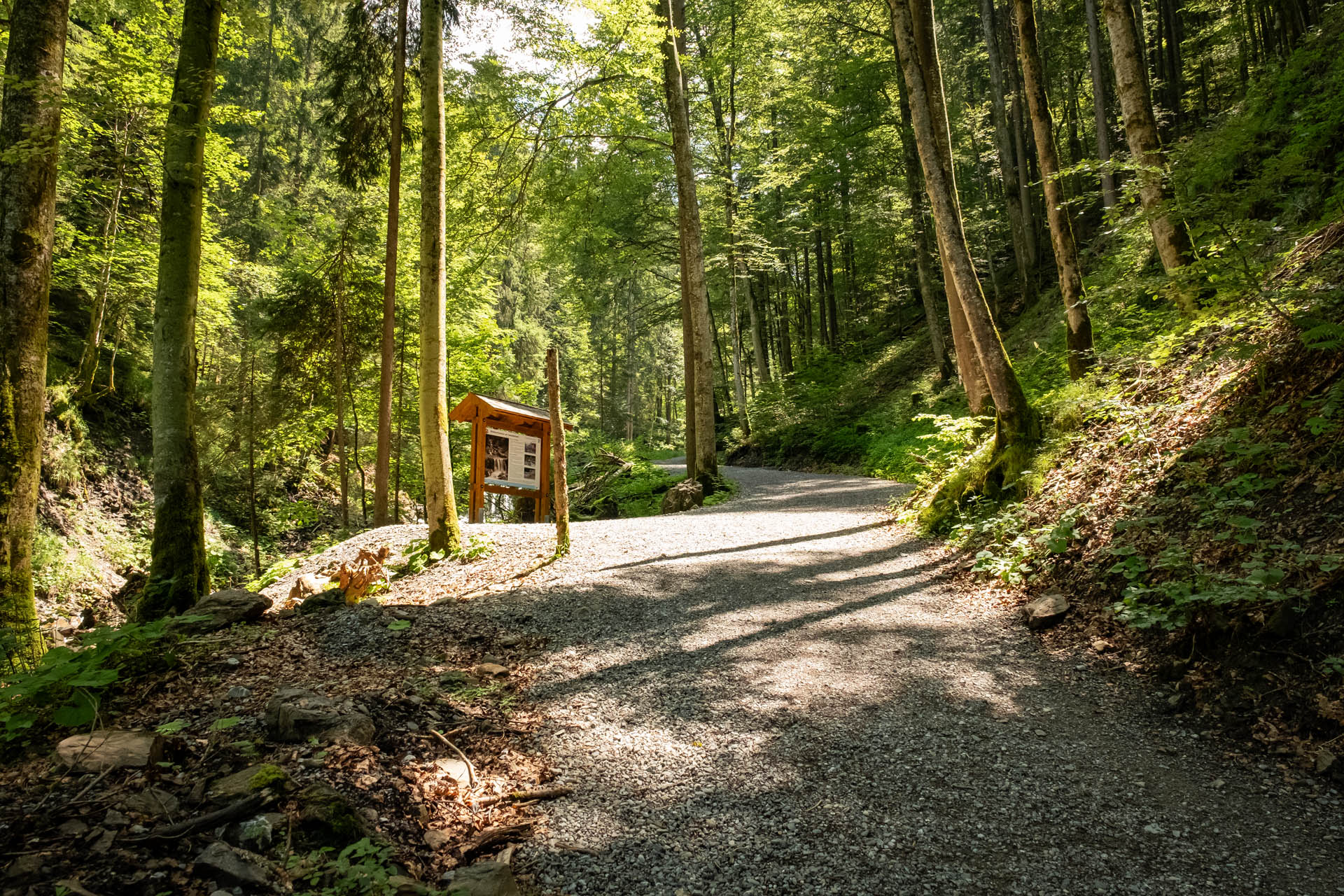 Wanderung von Reichenbach über den Unteren Gaisalpsee aufs Rubihorn