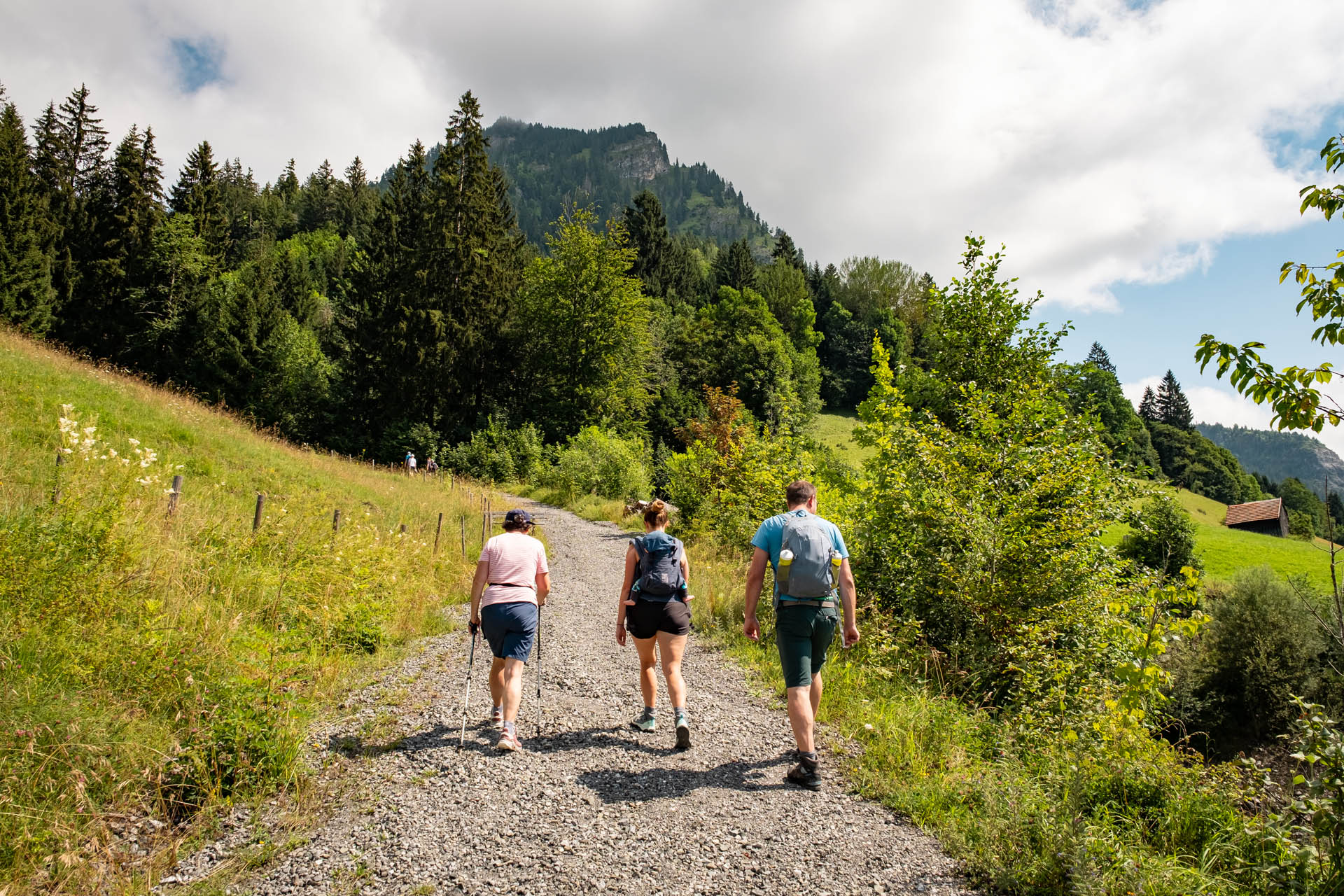 Wanderung auf den Hirschberg bei Bad Hindelang als Rundtour mit Aussicht in die Allgäuer Alpen