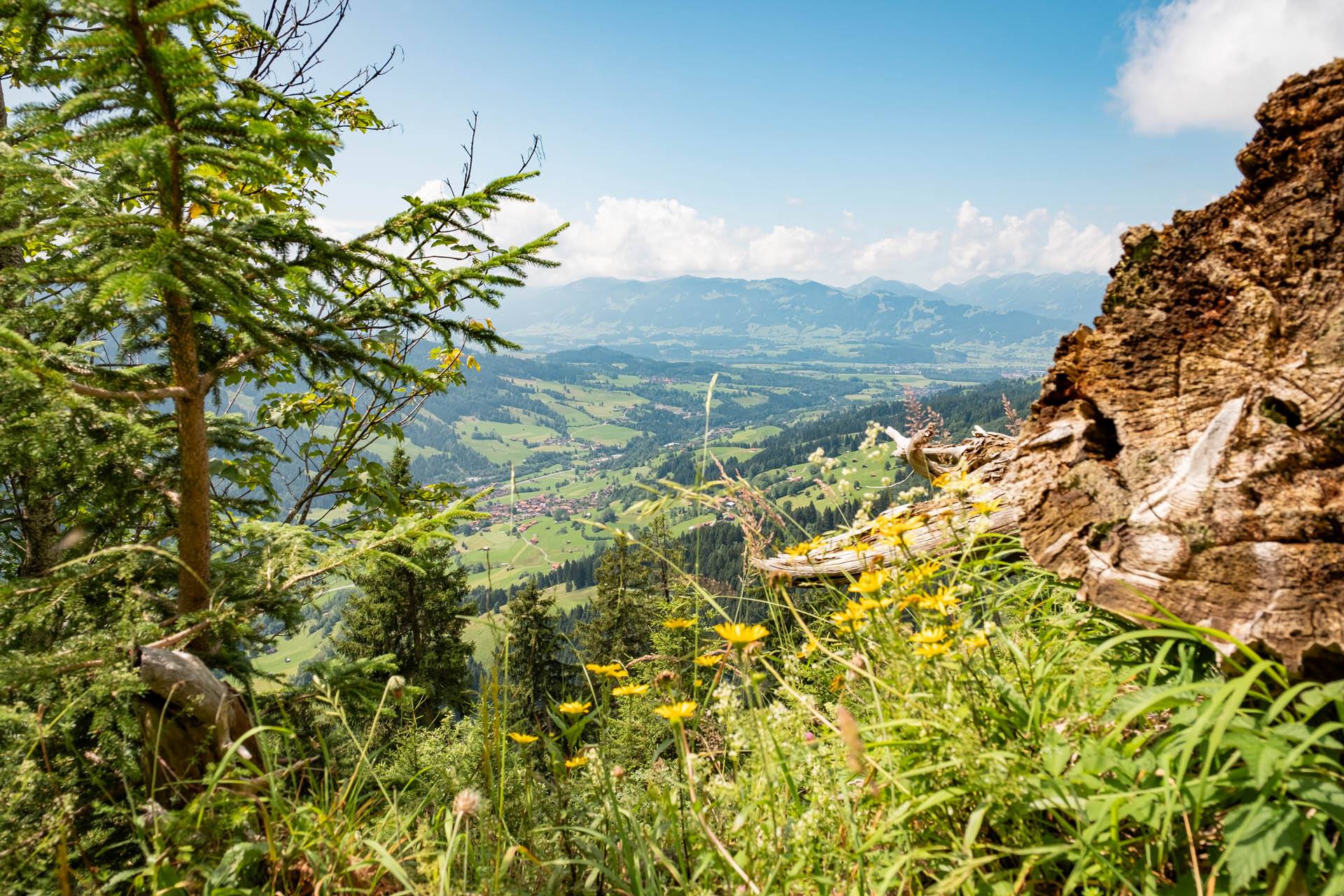 Wanderung auf den Hirschberg bei Bad Hindelang als Rundtour mit Aussicht in die Allgäuer Alpen