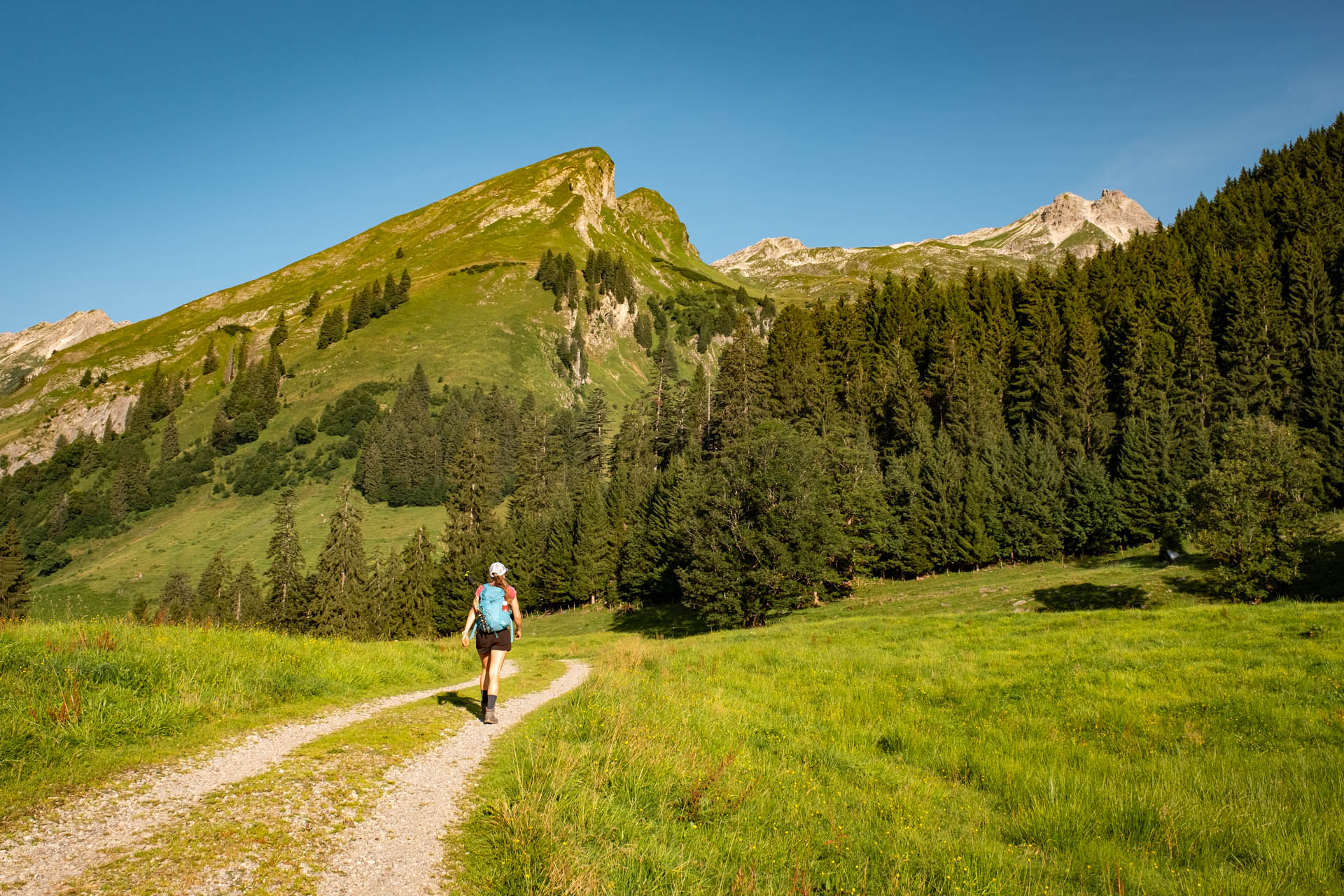 Wanderung von Hinterstein auf den Kleinen Daumen und den Großen Daumen im Allgäu