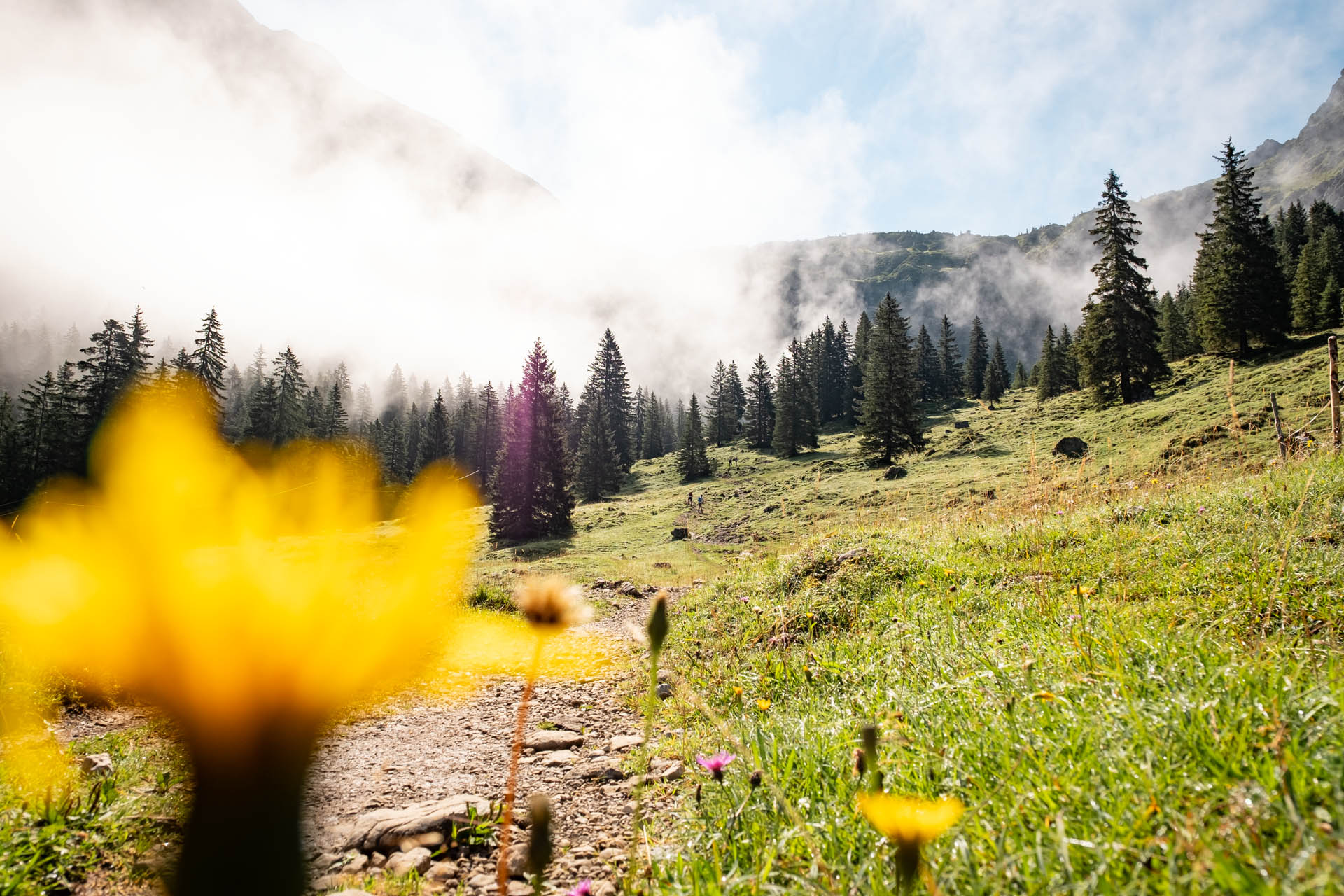 Wanderung von Hinterstein zum Schrecksee im Allgäu