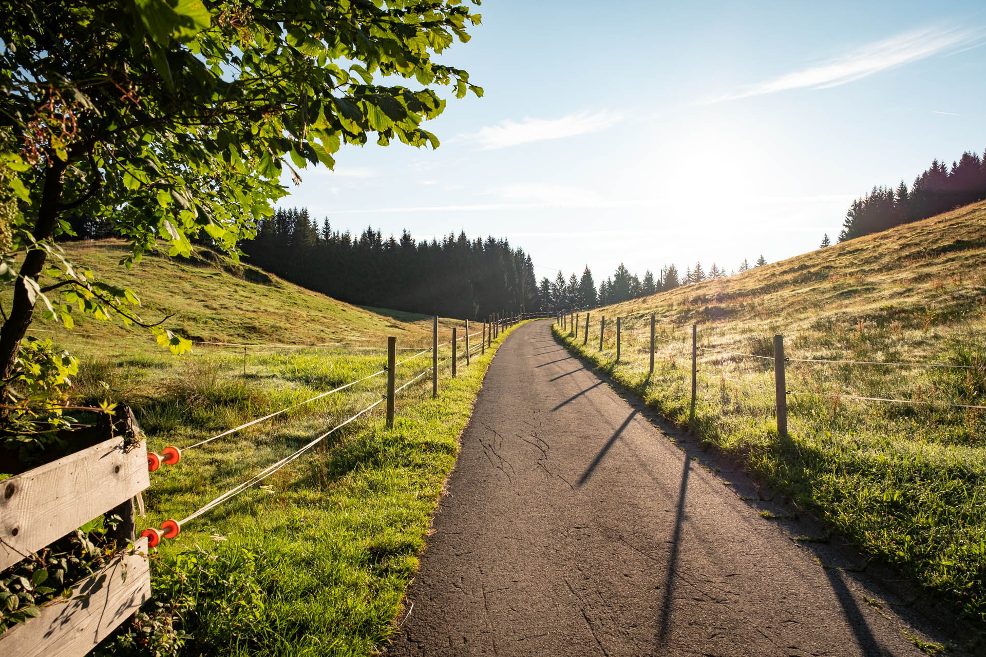 Wanderung von Thalkirchdorf auf Denneberg und Klammen auf Rundwanderung im Allgäu - Leichte Höhenwanderung im Allgäu