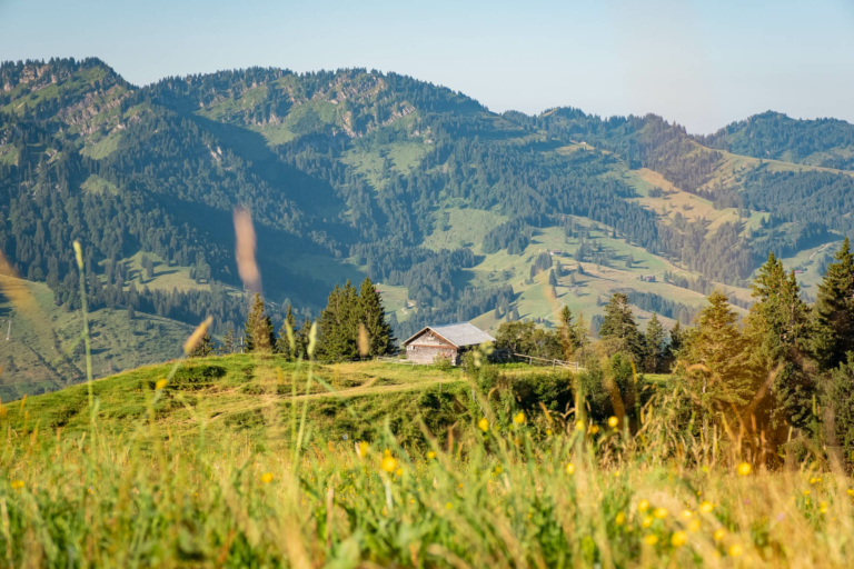 Wanderung von Thalkirchdorf auf Denneberg und Klammen auf Rundwanderung im Allgäu - Leichte Höhenwanderung im Allgäu