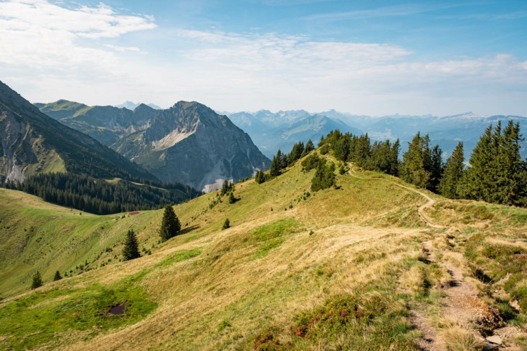 Wanderung auf die Sonnenköpfe - Sonnenkopf, Heidelbeerkopf und Schnippenkopf bei Schöllang im Allgäu