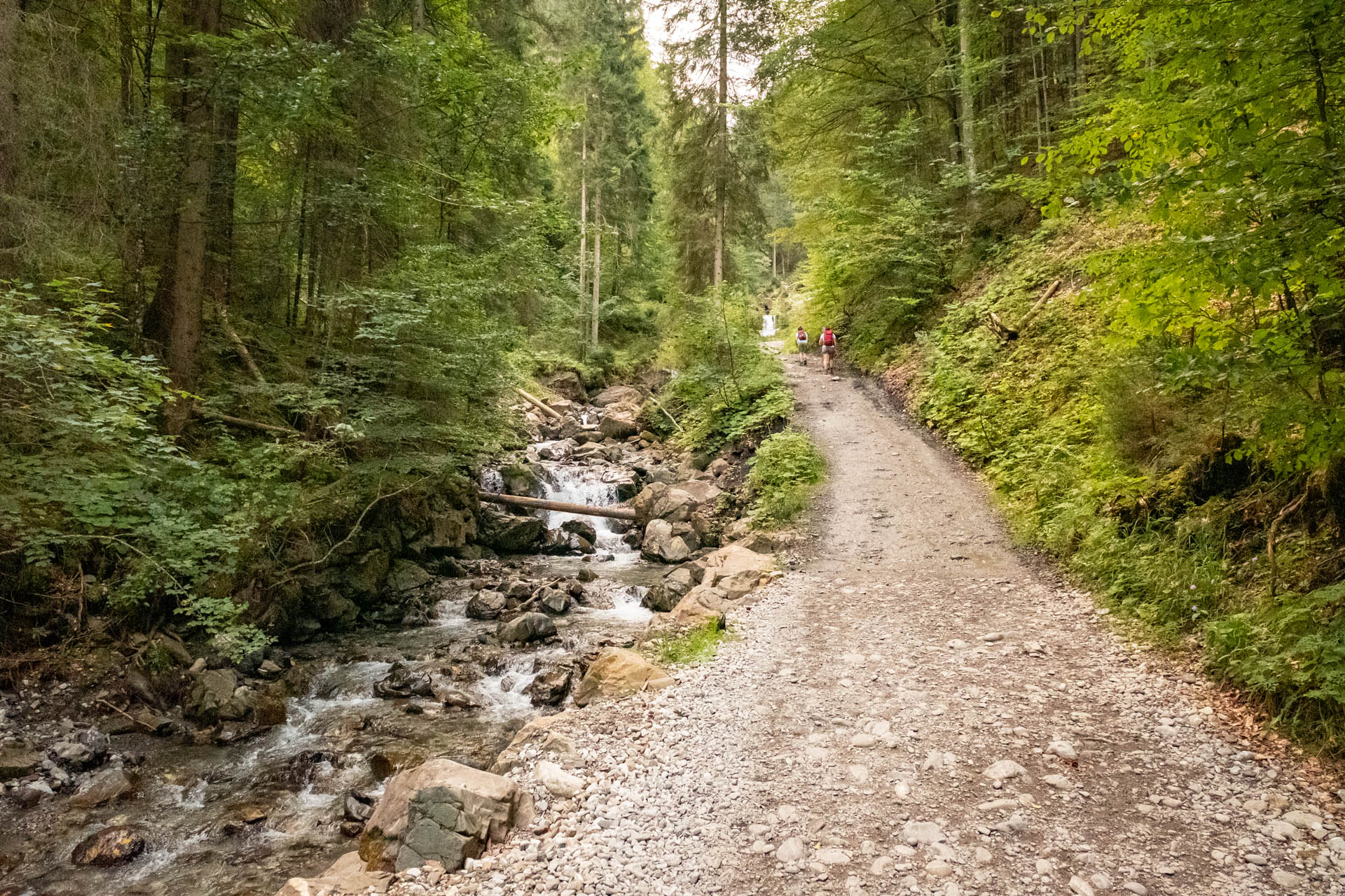 Wanderung im Allgäu über die Gaisalpseen auf den Entschenkopf