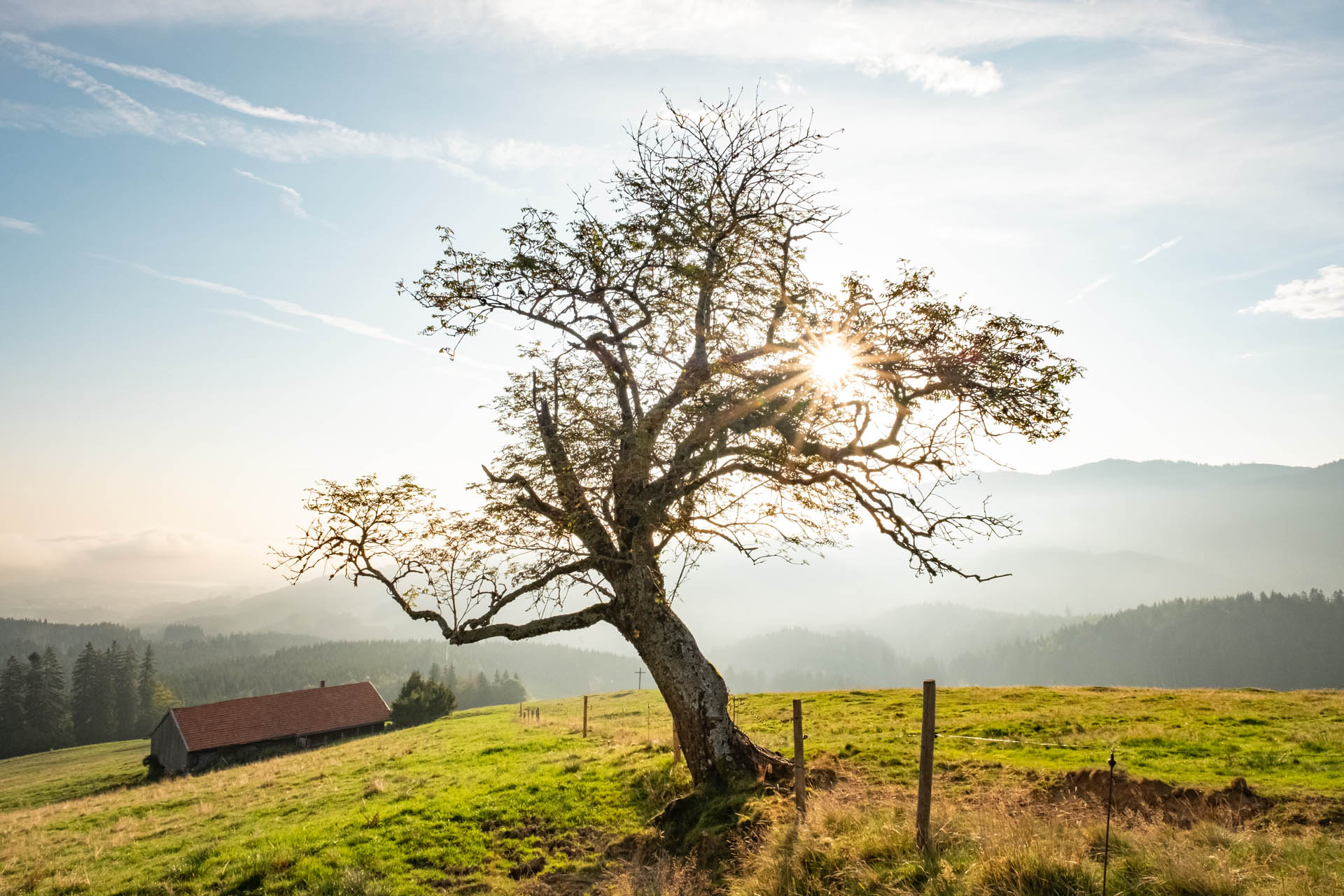 Wanderung vom Parkplatz Großer Wald auf den Grünten im Allgäu