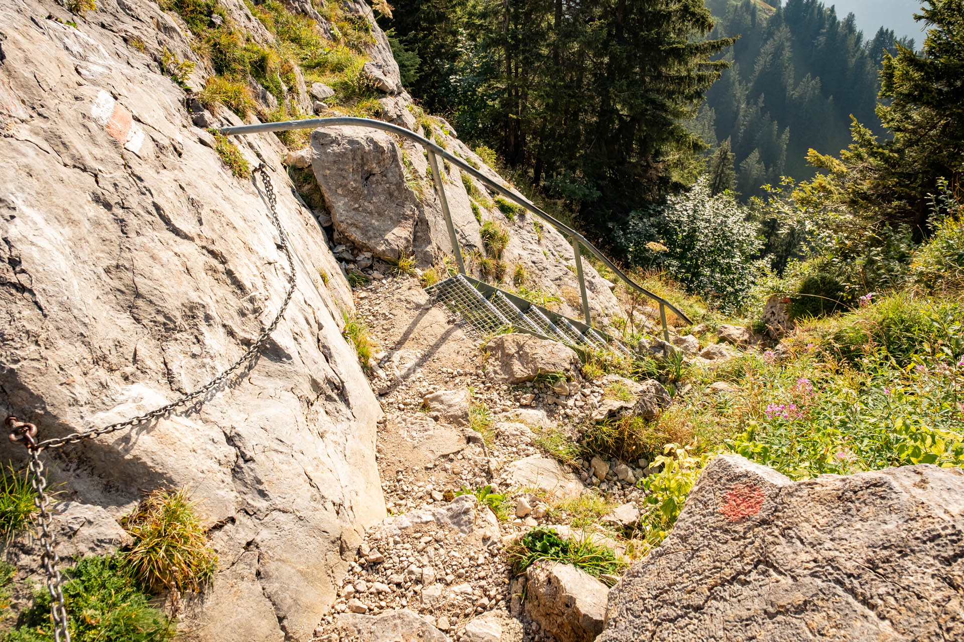 Wanderung vom Parkplatz Großer Wald auf den Grünten im Allgäu