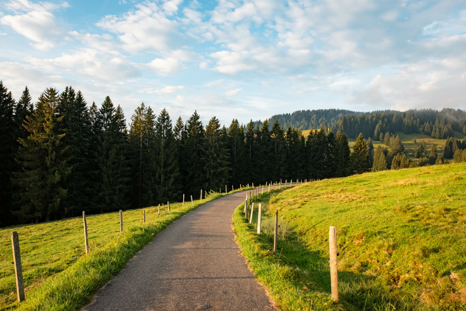 Gr nten Wanderung Vom Parkplatz Gro er Wald 