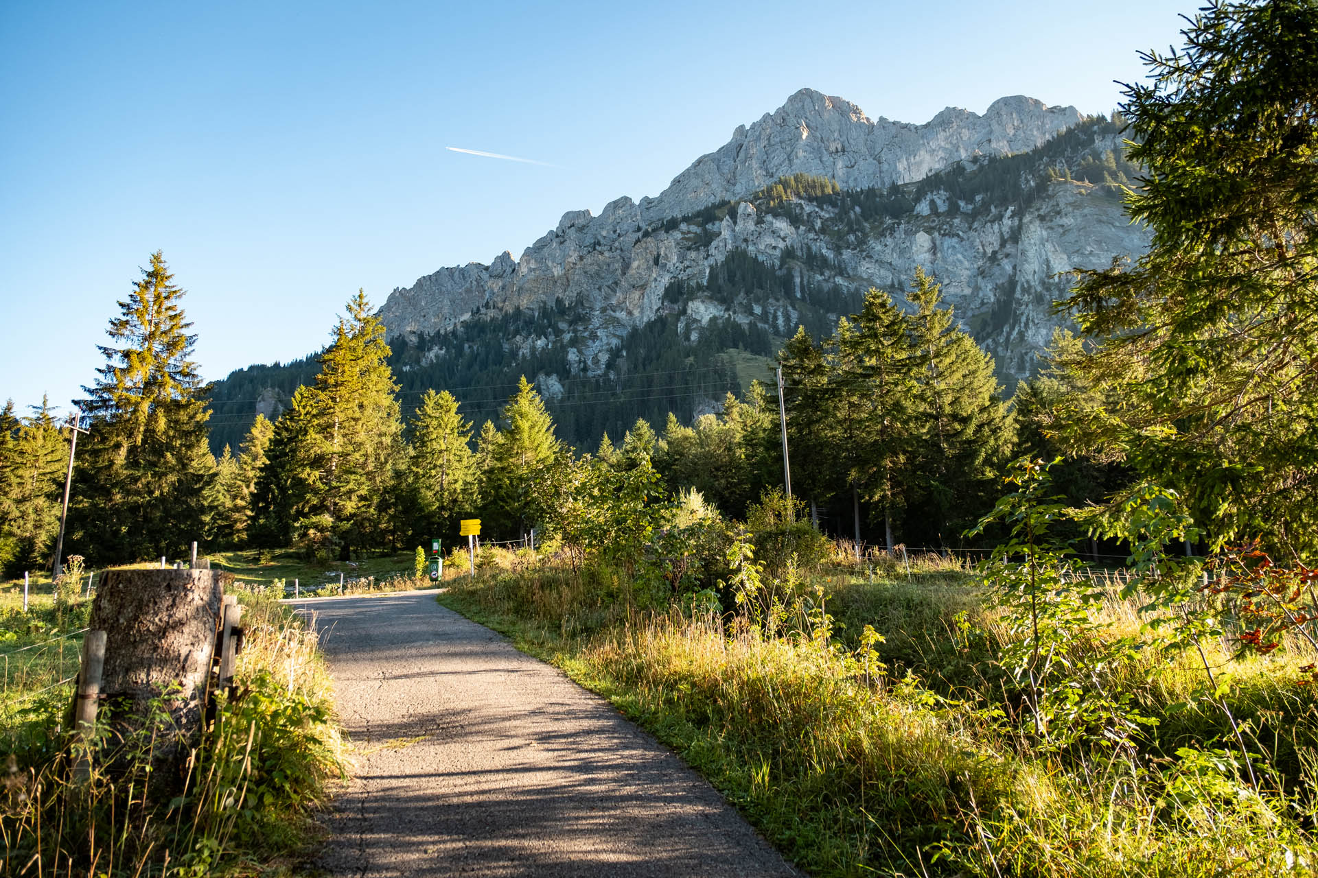 Wanderung von Nesselwängle auf die Rote Flüh im Tannheimer Tal - Wandern in Tirol