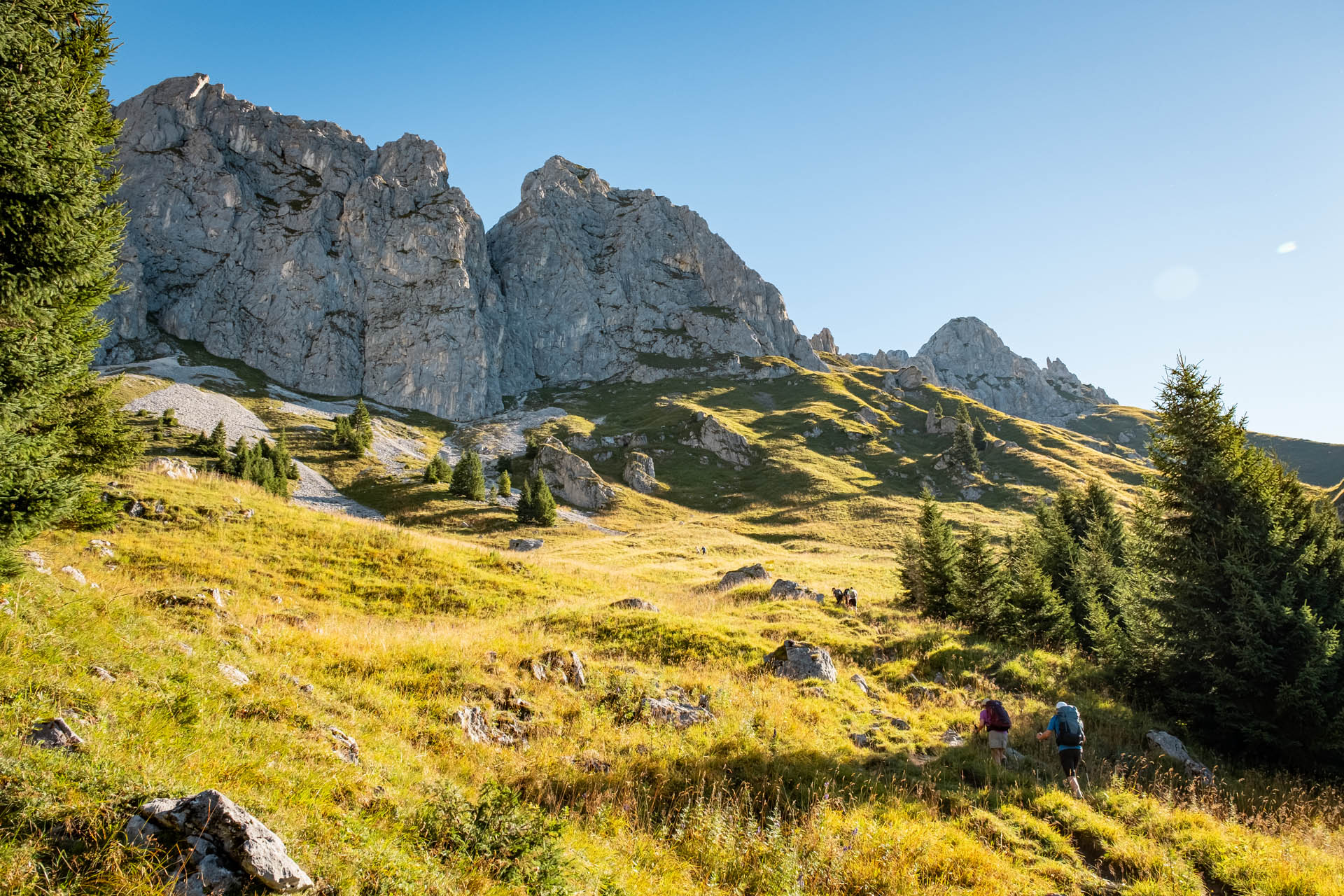 Wanderung von Nesselwängle auf die Rote Flüh im Tannheimer Tal - Wandern in Tirol