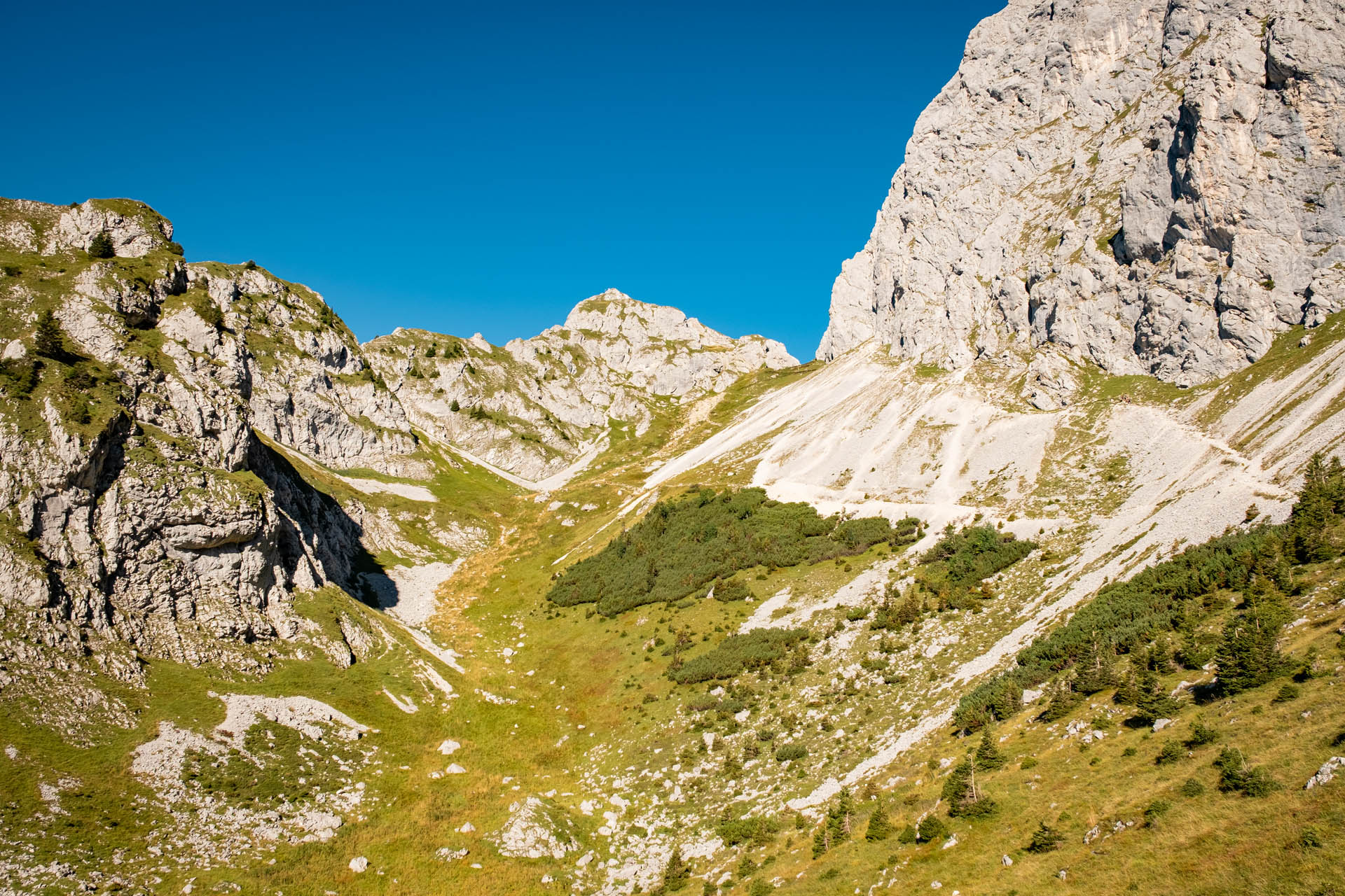 Wanderung von Nesselwängle auf die Rote Flüh im Tannheimer Tal - Wandern in Tirol