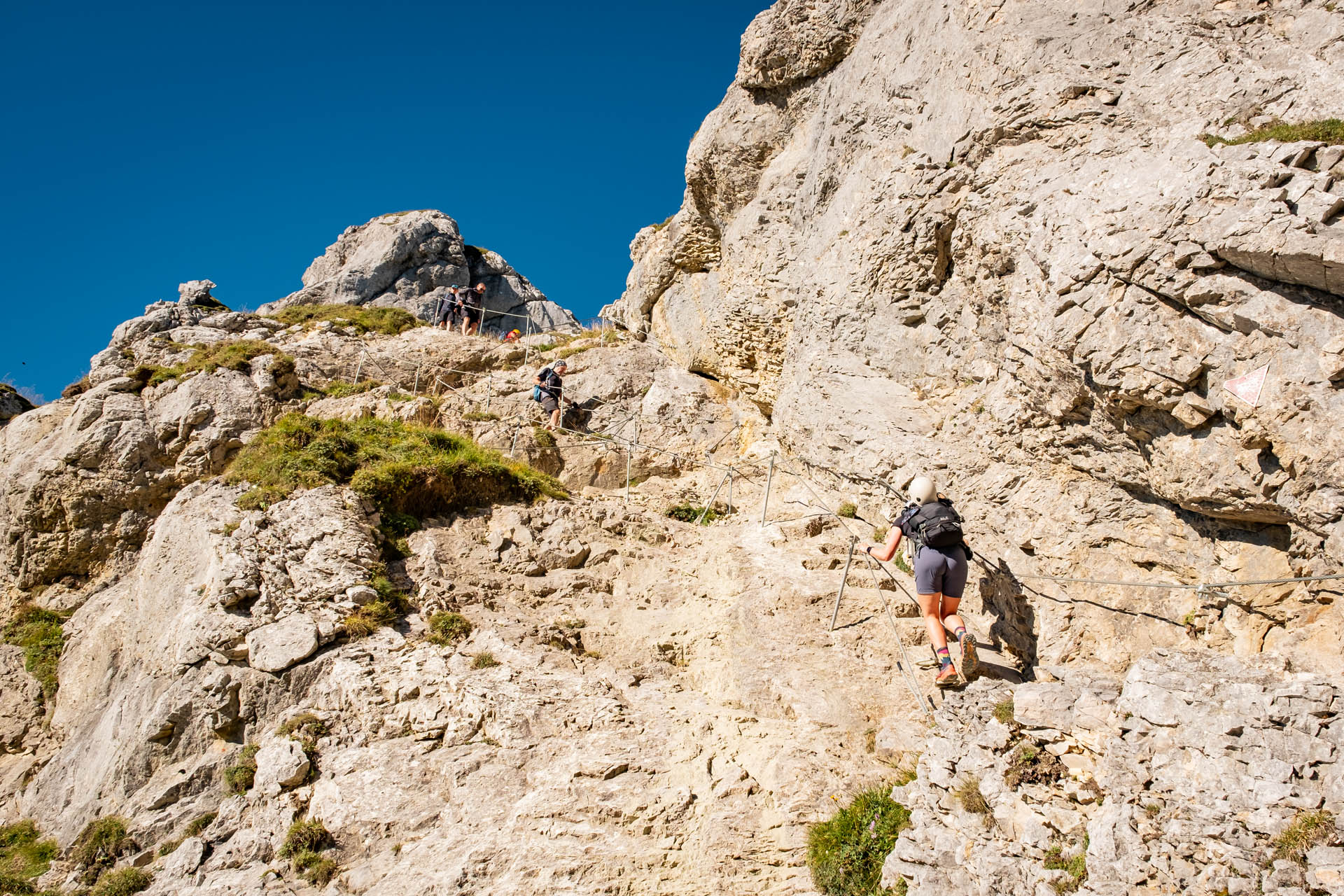 Wanderung von Nesselwängle auf die Rote Flüh im Tannheimer Tal - Wandern in Tirol