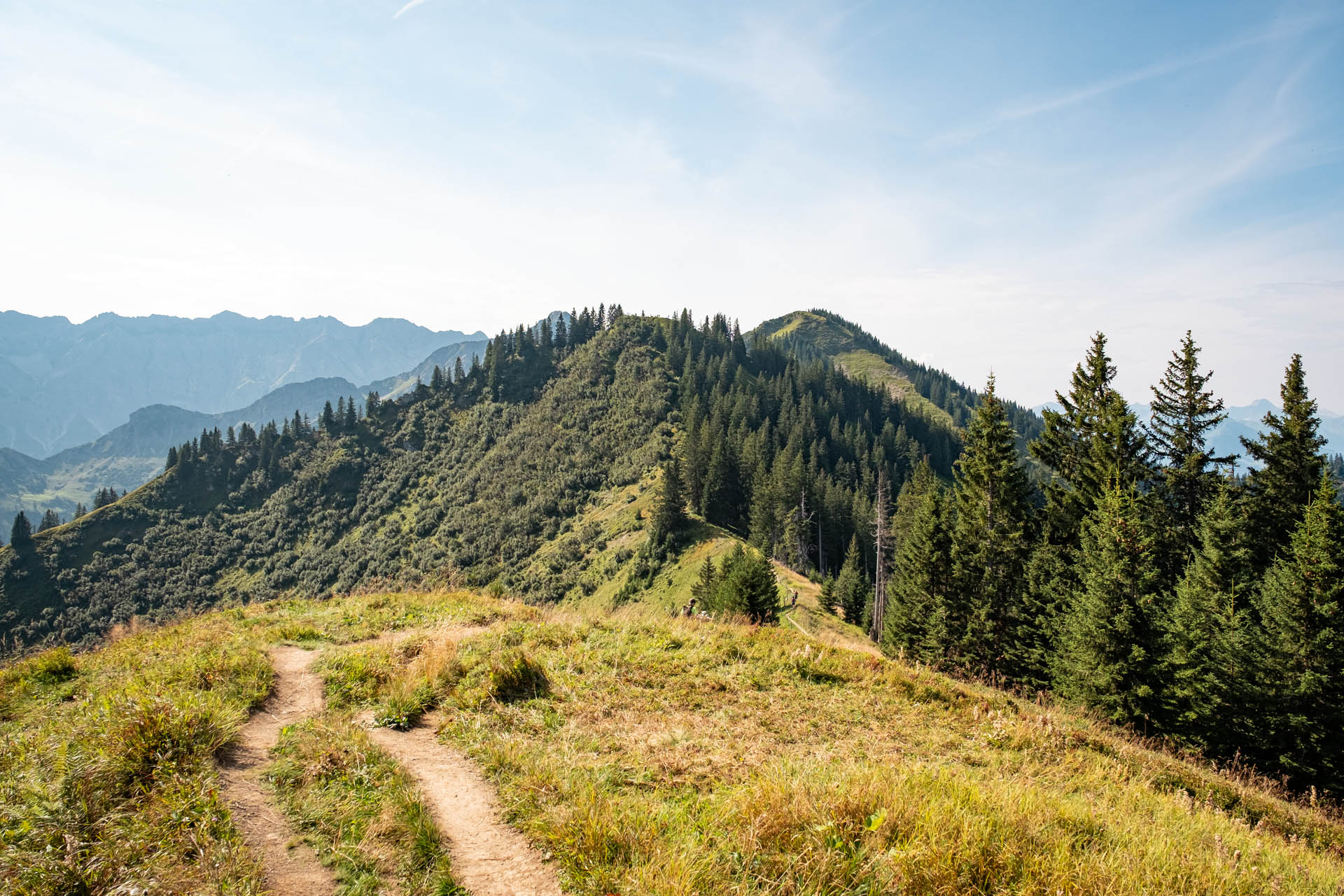 Wanderung von Reichenbach auf den Sonnenkopf - Heidelbeerkopf - Schnippenkopf im Allgäu