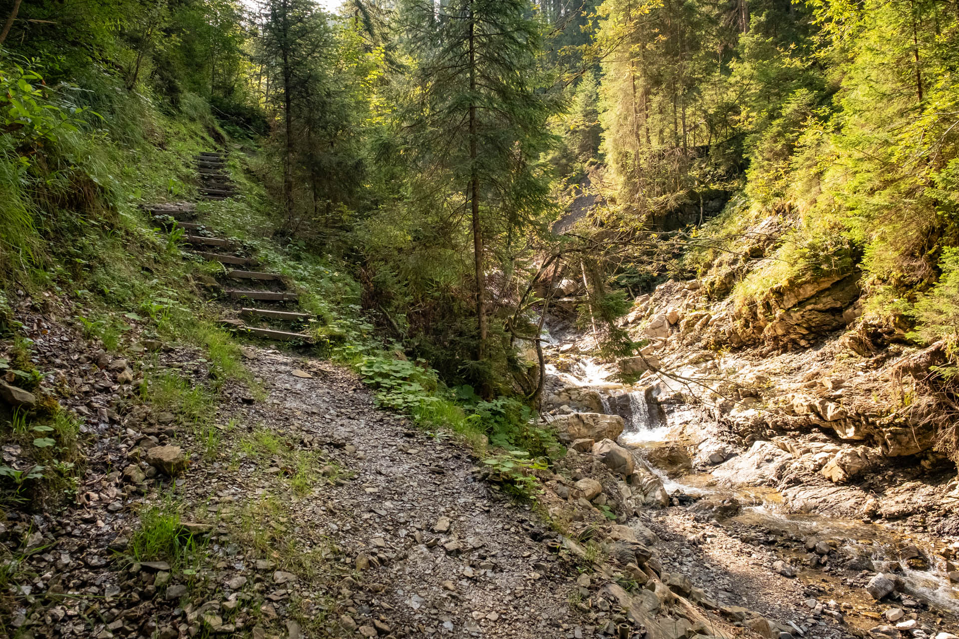 Wanderung von Reichenbach auf den Sonnenkopf - Heidelbeerkopf - Schnippenkopf im Allgäu