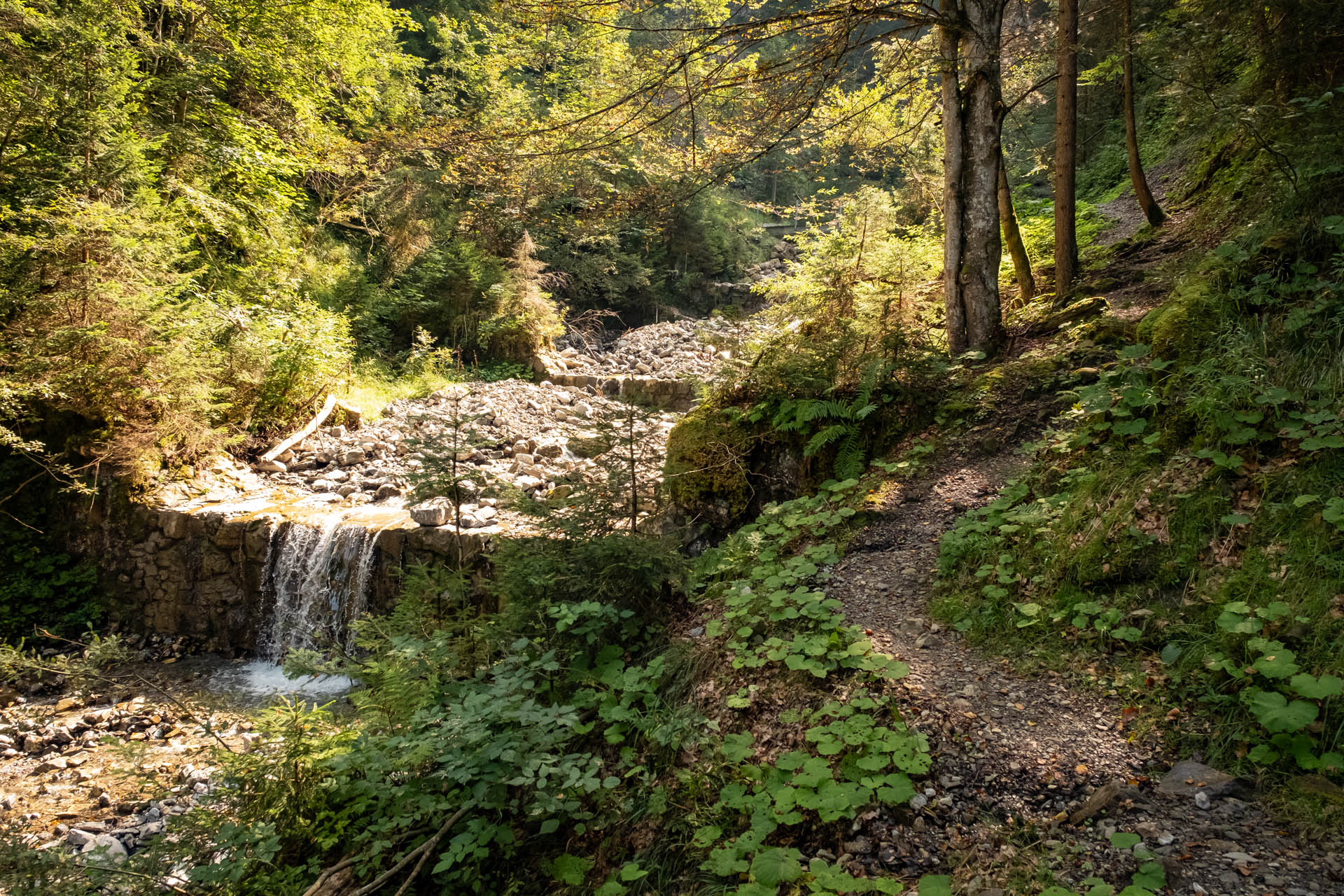 Wanderung von Reichenbach auf den Sonnenkopf - Heidelbeerkopf - Schnippenkopf im Allgäu