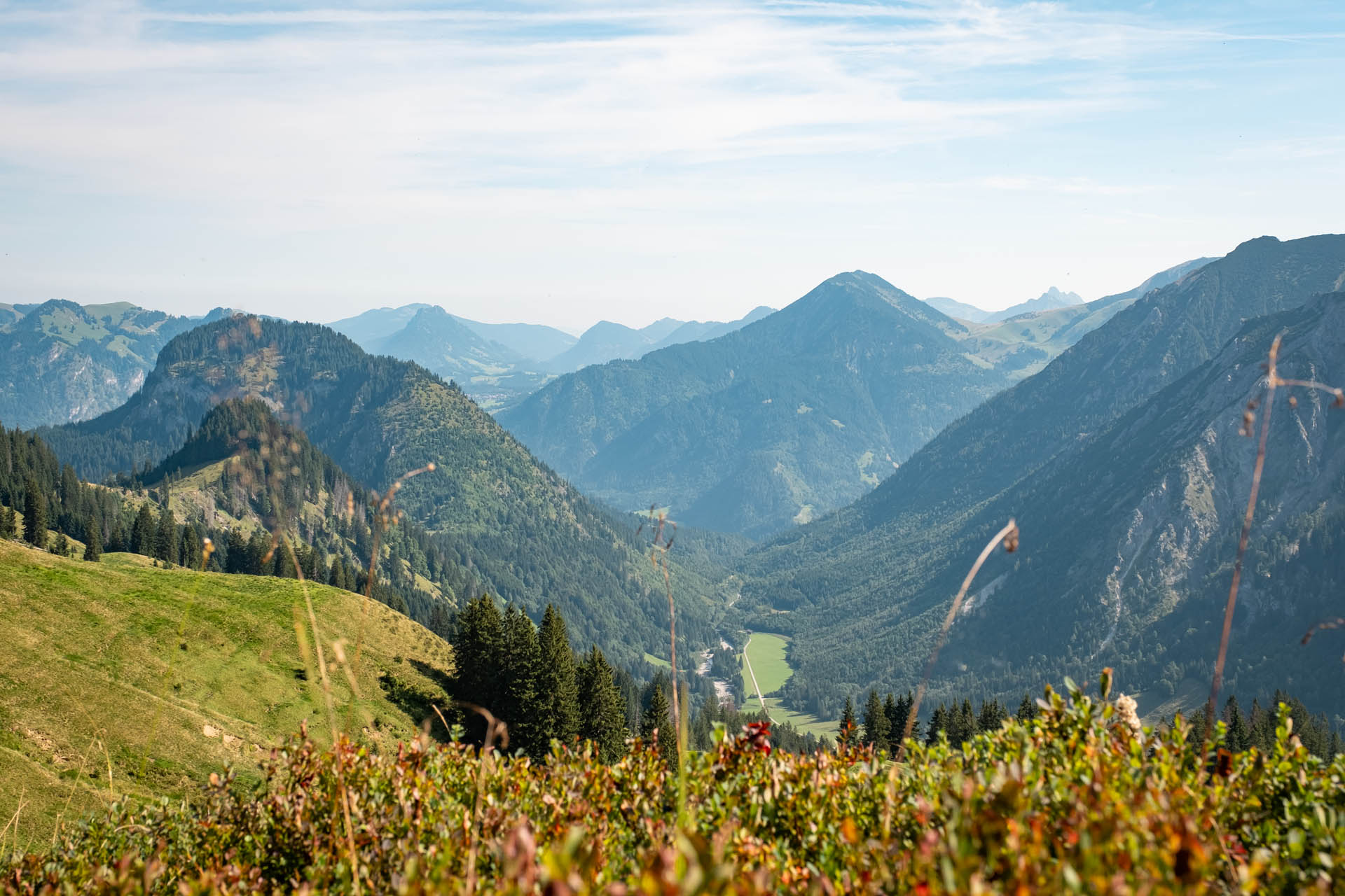 Wanderung von Reichenbach auf den Sonnenkopf - Heidelbeerkopf - Schnippenkopf im Allgäu