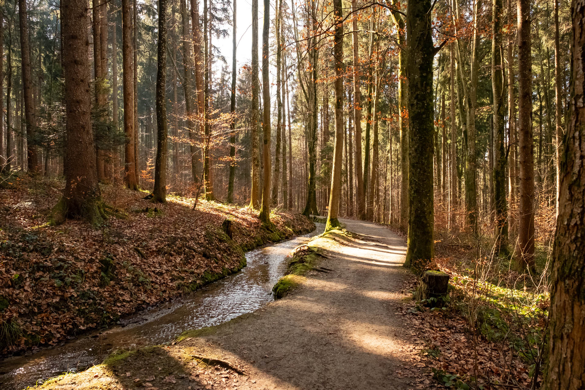Wandern auf dem Glücksweg bei Ottobeuren