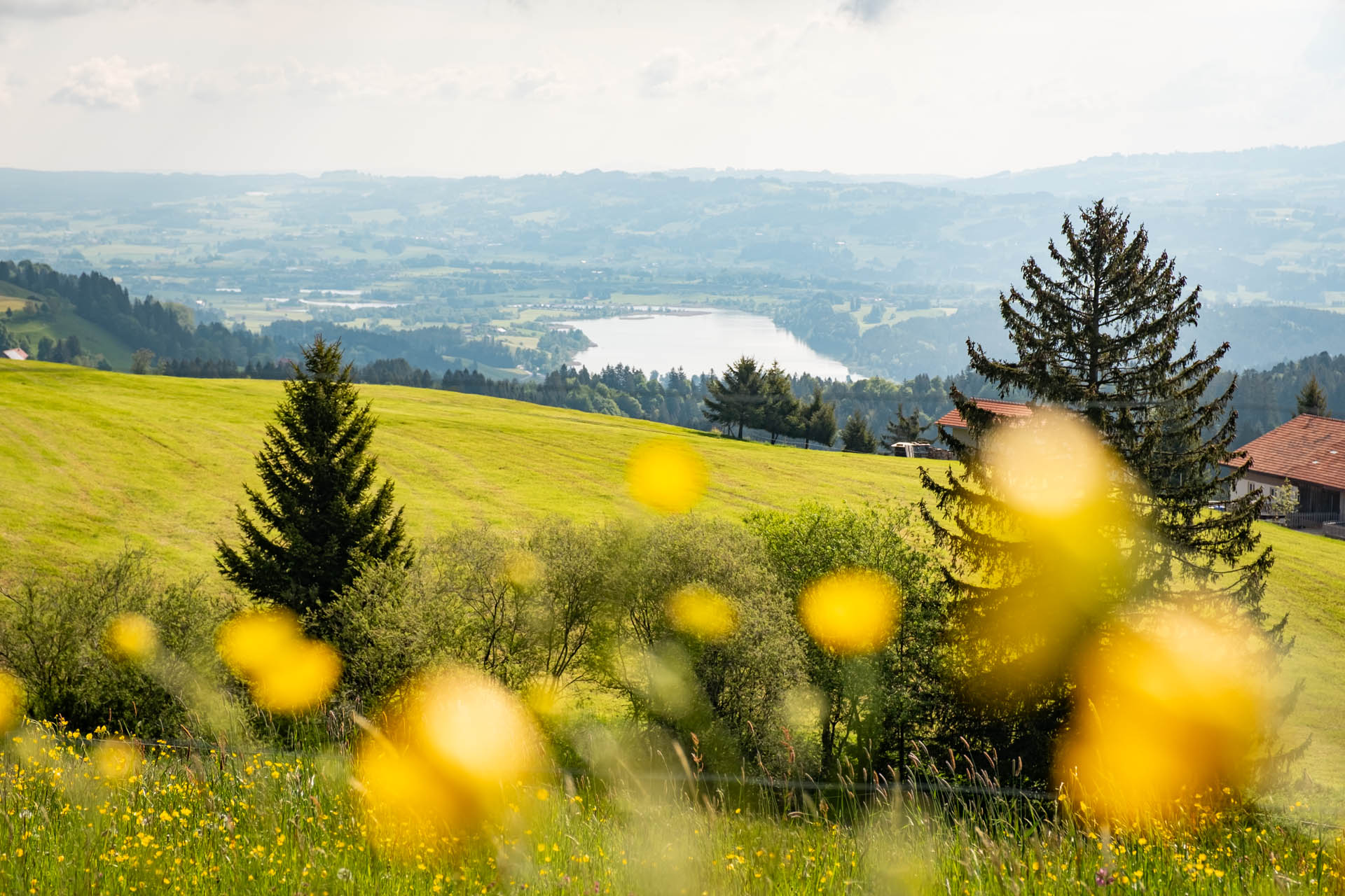 Wanderung von Diepolz auf den Hauchenberg und zur Kling's Hütte - Familienwanderung im Allgäu