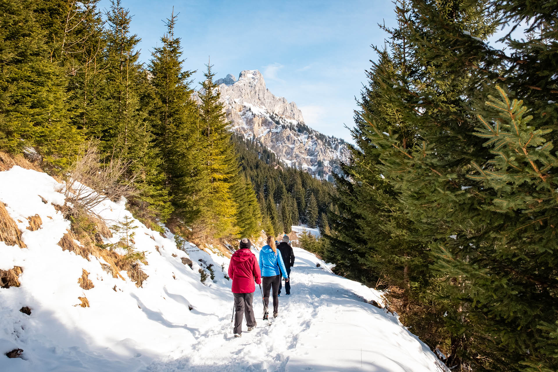 Berghütte Adlerhorst - Winter-Rundwanderung über den Haldensee im Tannheimer Tal