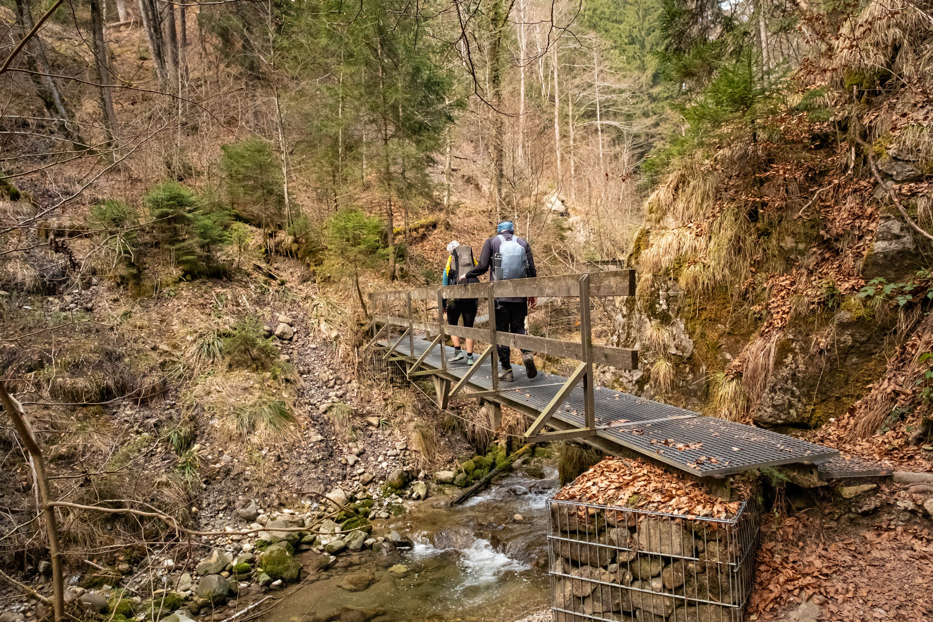 Niedersonthofener Wasserfall - Leichte und schöne Wanderung im Allgäu für die ganze Familie