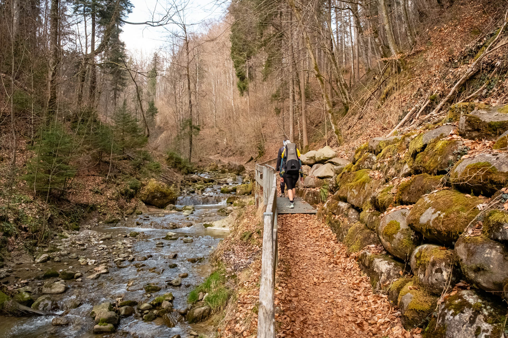 Niedersonthofener Wasserfall - Leichte und schöne Wanderung im Allgäu für die ganze Familie