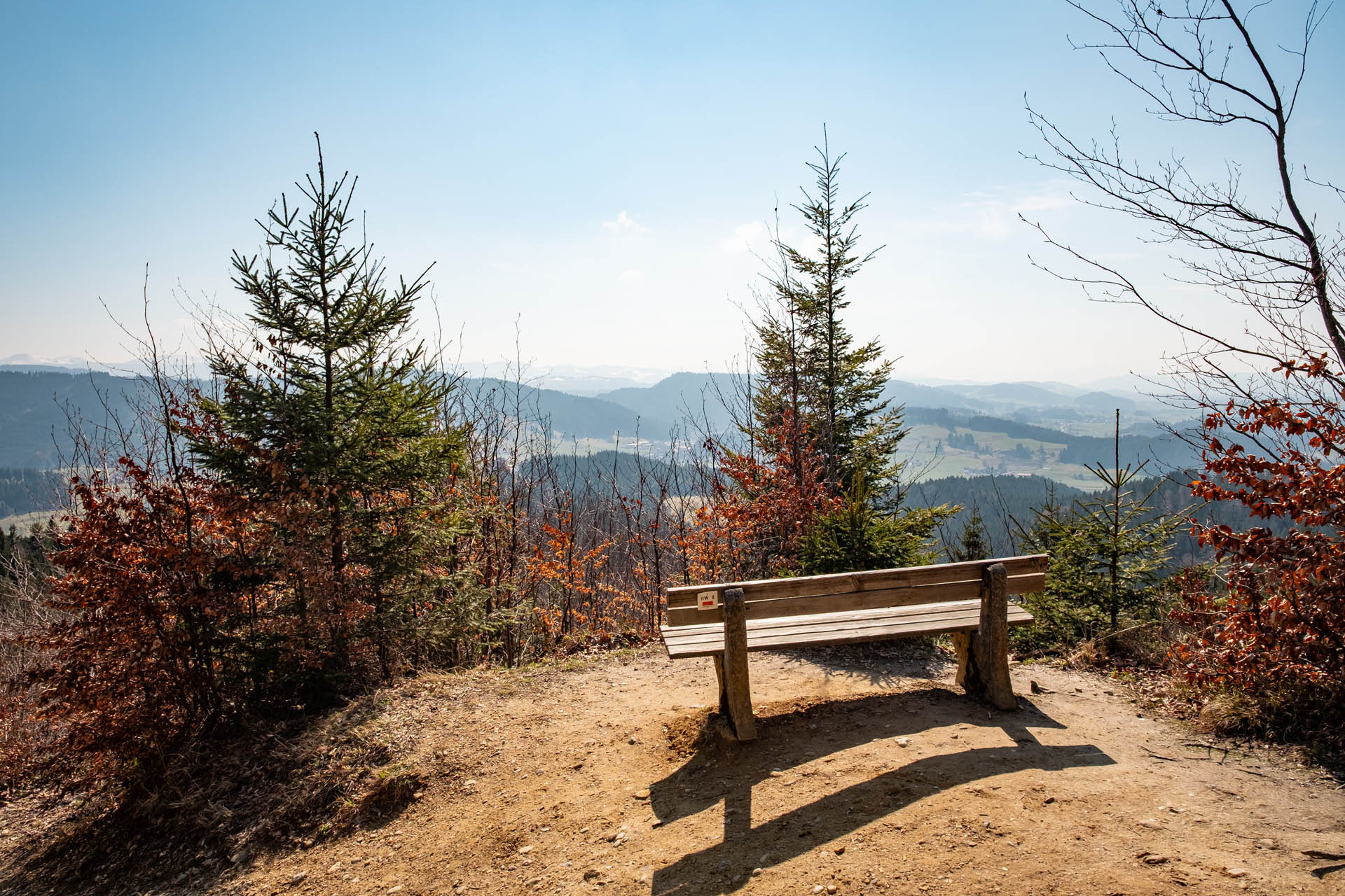 Schwarzer Grat - Leichte Wanderung auf dem Erlebnisweg zum Aussichtsturm für die ganze Familie im Allgäu