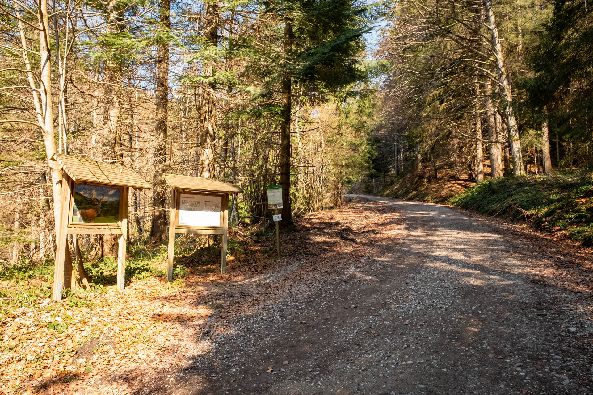 Schwarzer Grat - Leichte Wanderung auf dem Erlebnisweg zum Aussichtsturm für die ganze Familie im Allgäu