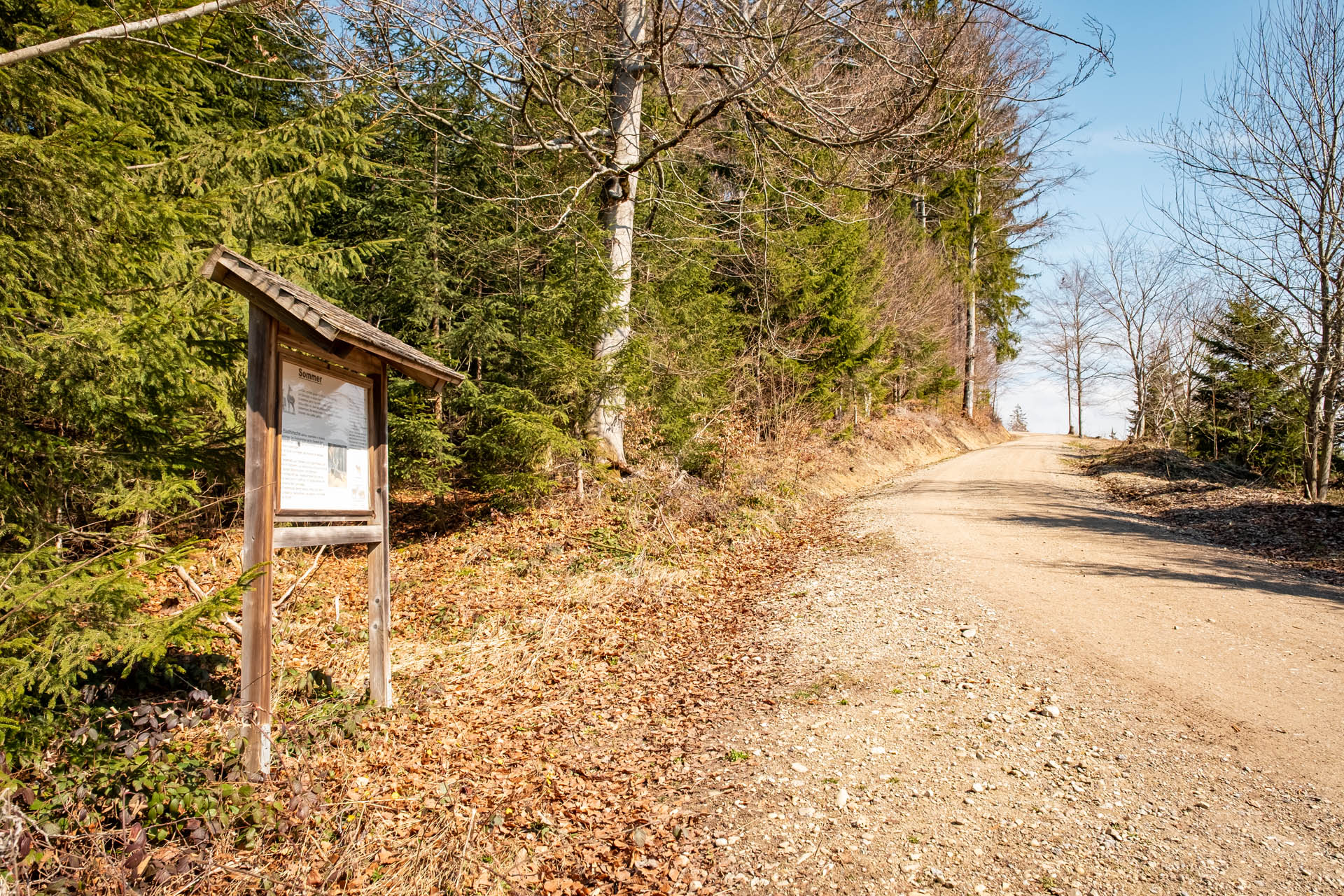 Schwarzer Grat - Leichte Wanderung auf dem Erlebnisweg zum Aussichtsturm für die ganze Familie im Allgäu