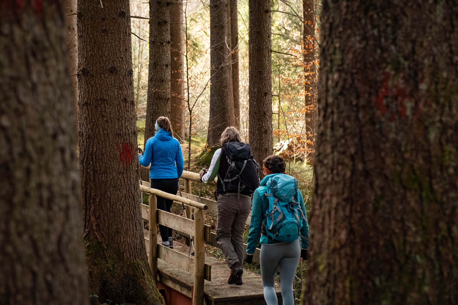 Sonthofer Hof - Rundwanderung von Altstädten durch den Tobel mit toller Aussicht ins Allgäu