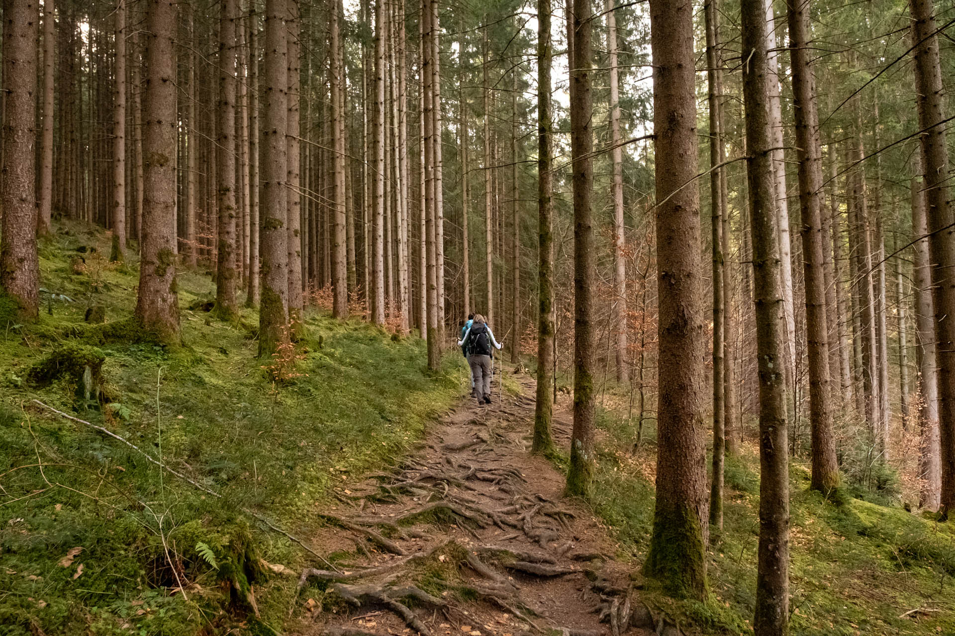 Sonthofer Hof - Rundwanderung von Altstädten durch den Tobel mit toller Aussicht ins Allgäu