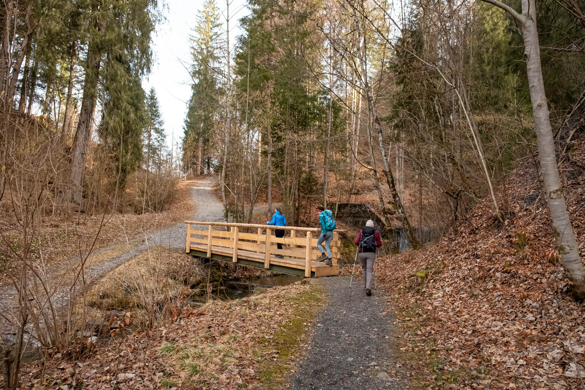 Sonthofer Hof - Rundwanderung von Altstädten durch den Tobel mit toller Aussicht ins Allgäu