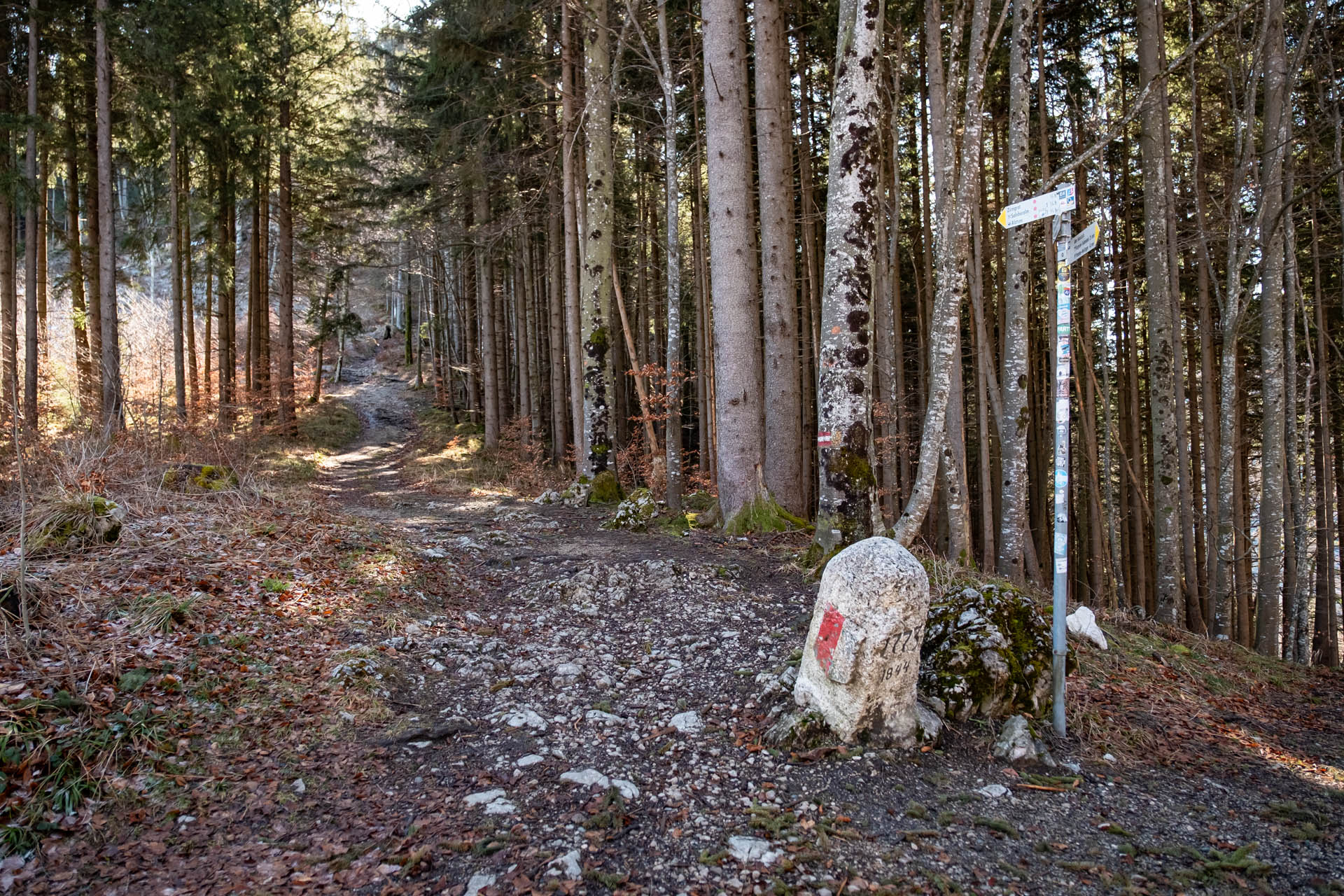 Zirmgrat - Aussichtsreiche Wanderung vom Weißensee zur Salober Alm