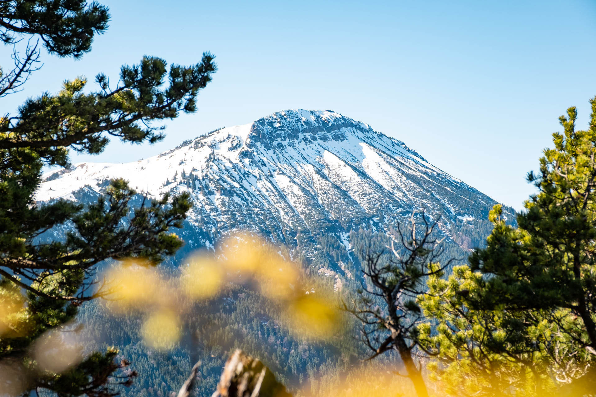 Zirmgrat - Aussichtsreiche Wanderung vom Weißensee zur Salober Alm