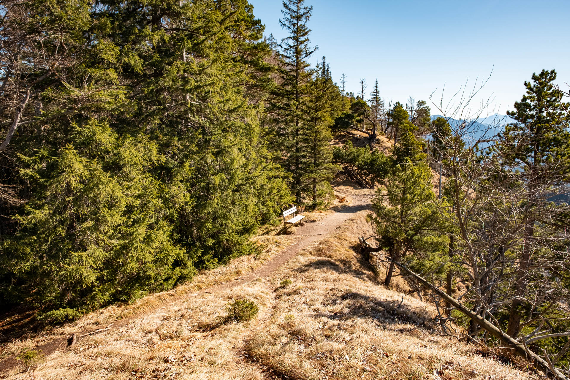 Zirmgrat - Aussichtsreiche Wanderung vom Weißensee zur Salober Alm