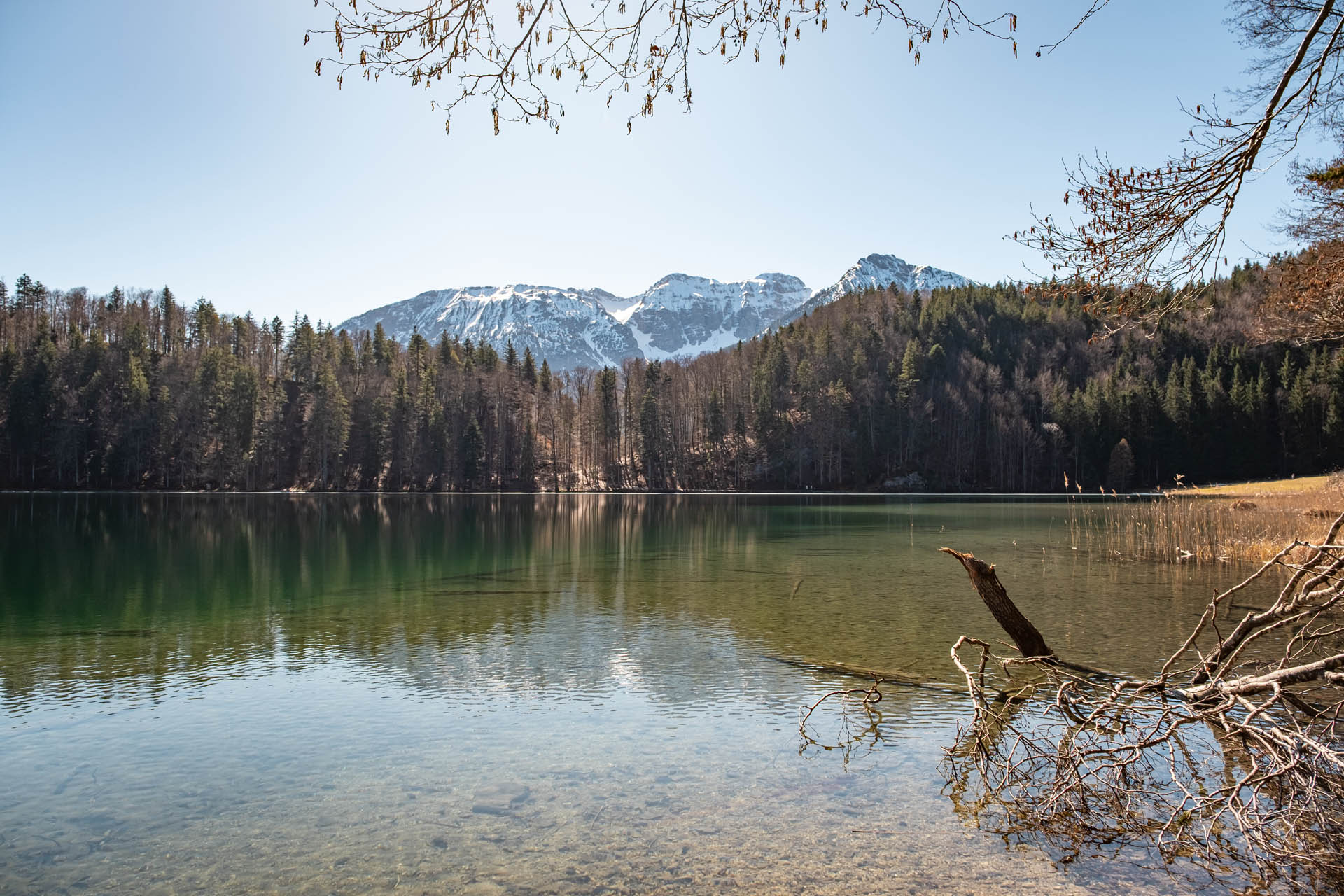 Zirmgrat - Aussichtsreiche Wanderung vom Weißensee zur Salober Alm