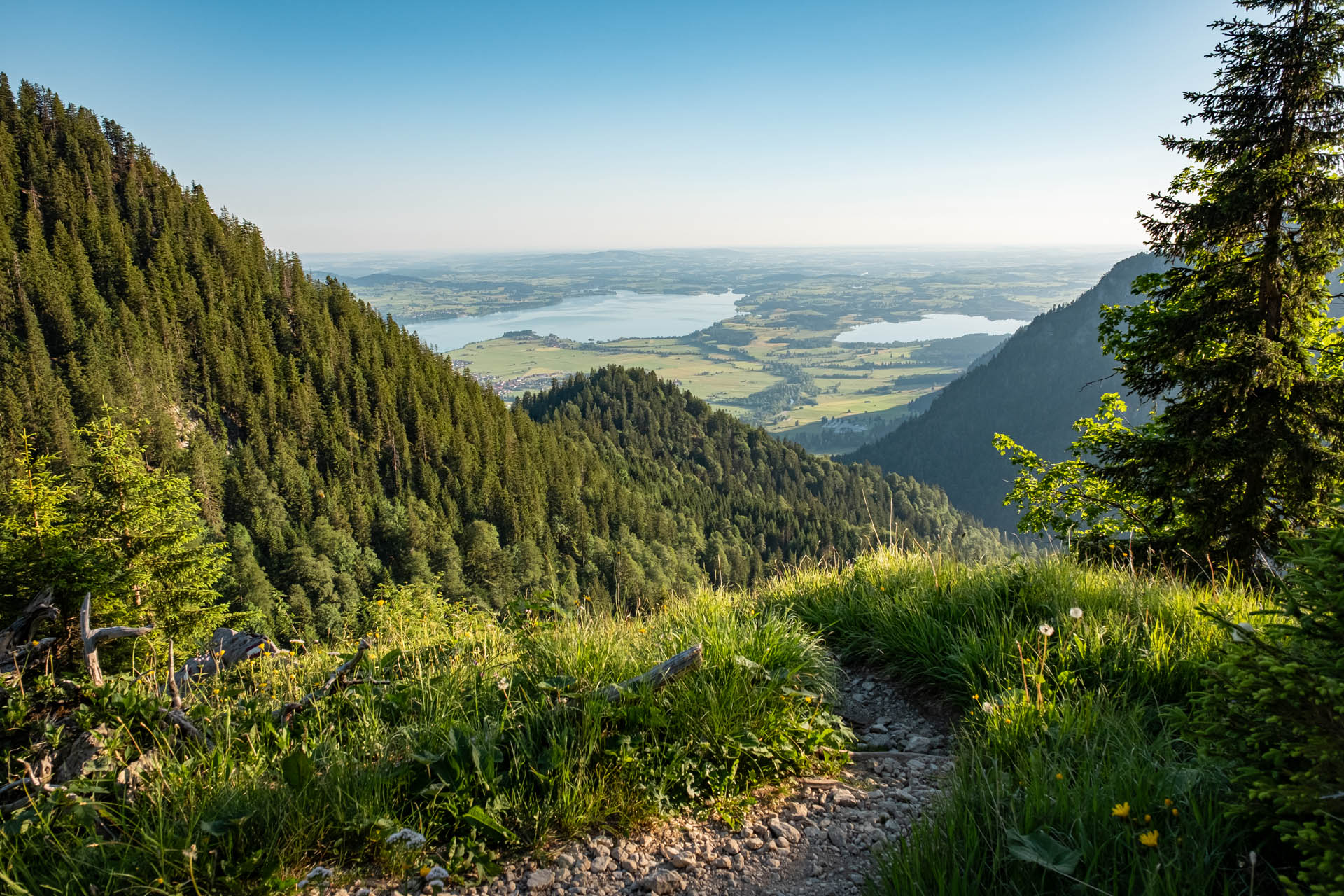 Säuling - Aussichtsreiche Wanderung ab Hohenschwangau im Ostallgäu